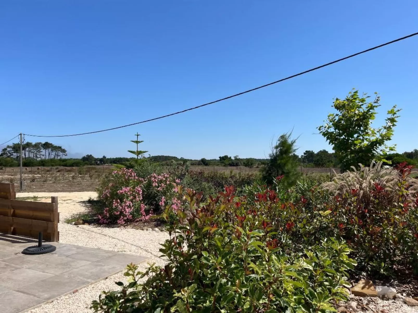 Auf dem Lande in der Nähe des Strandes-Image-tags.info