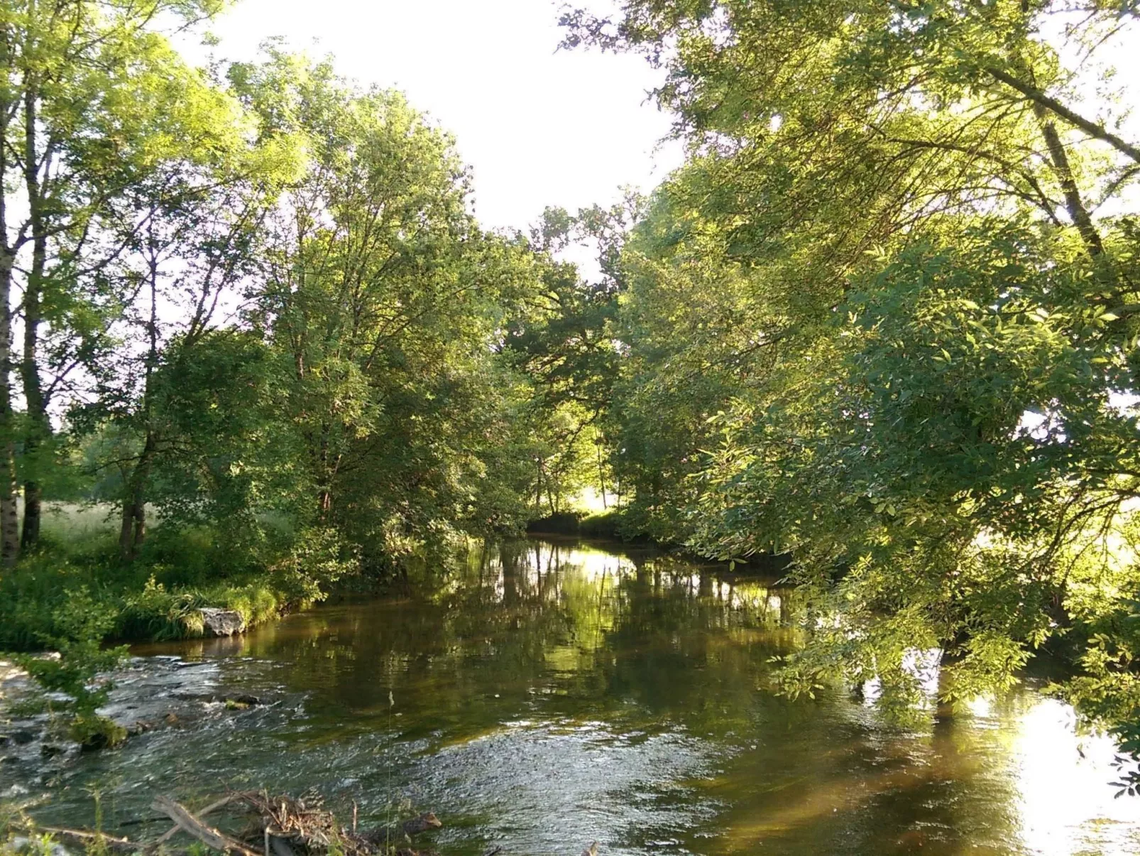 La Monestière-Buiten