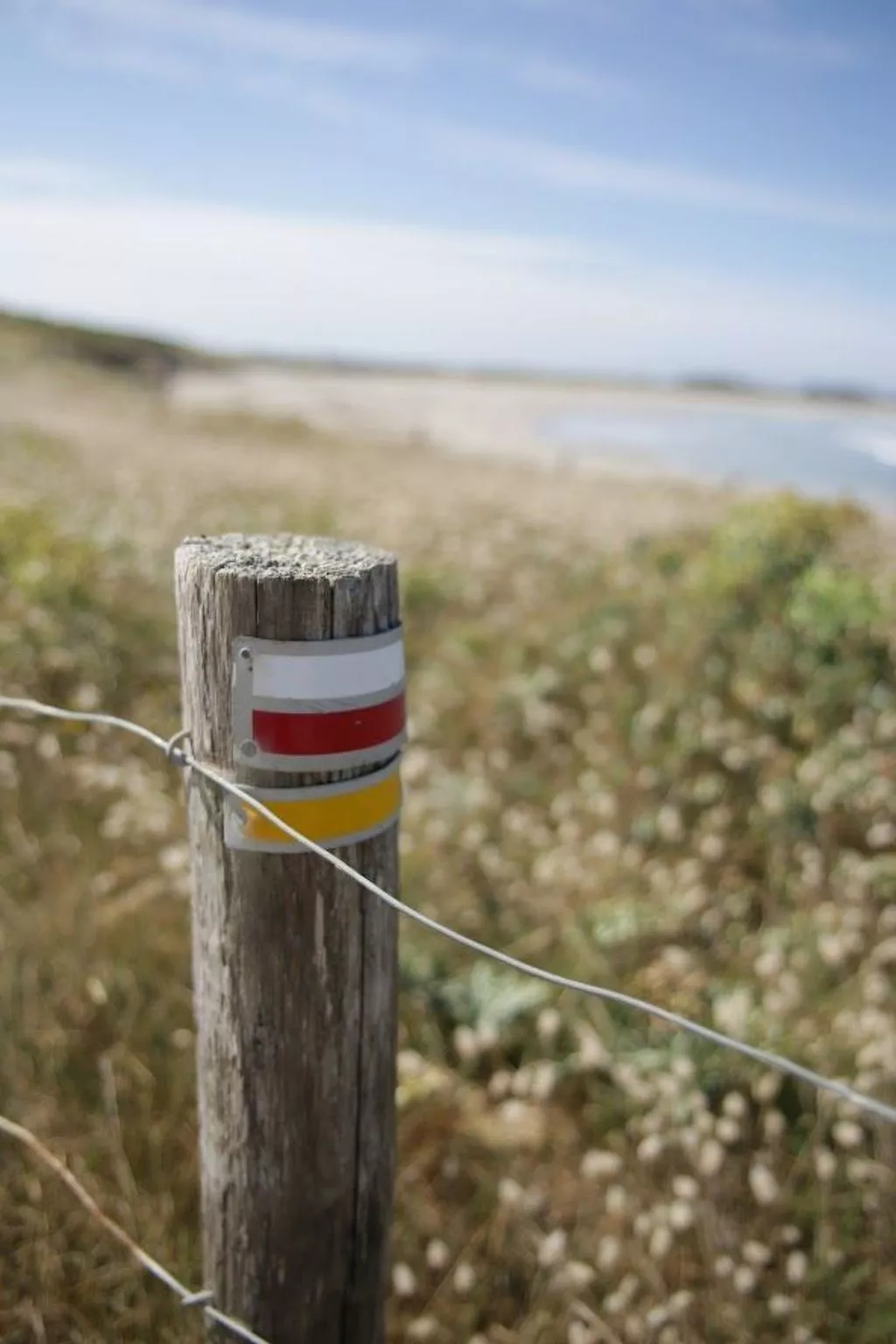 Ferienhaus Ty Nina Rosa, haustiere erlaubt-Binnen