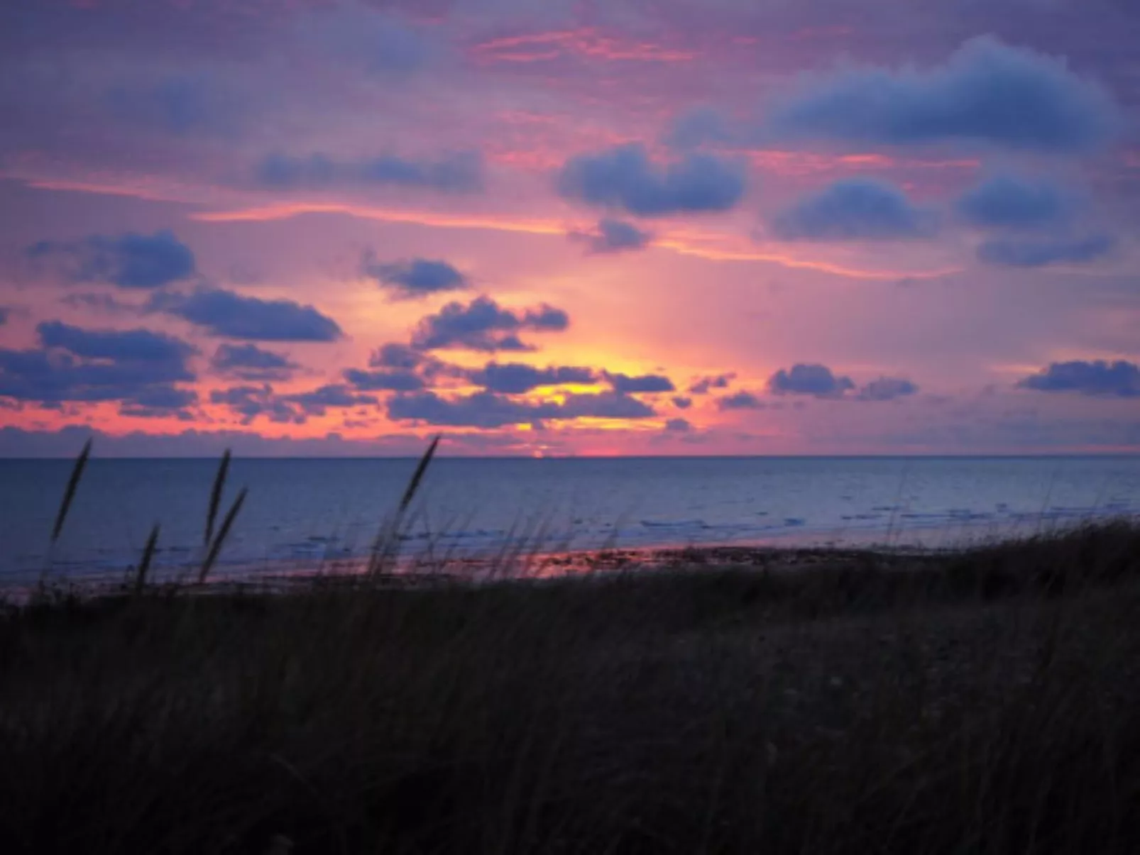 Le Bois aux Ecureuils (Eichhörnchenwald)-Buiten