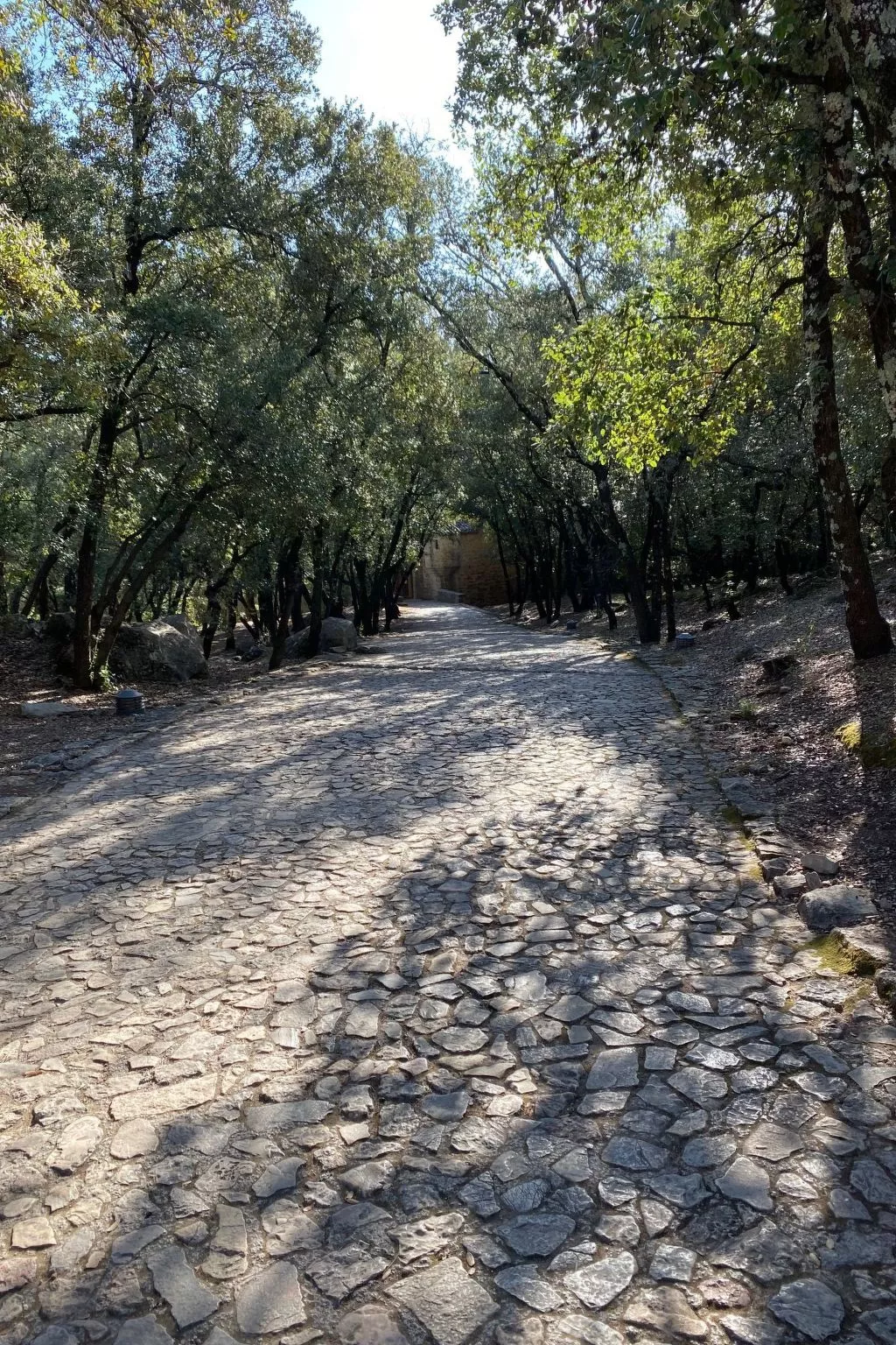 Klimatisiertes Mas Les Heures Bleues mit Pool - Buiten