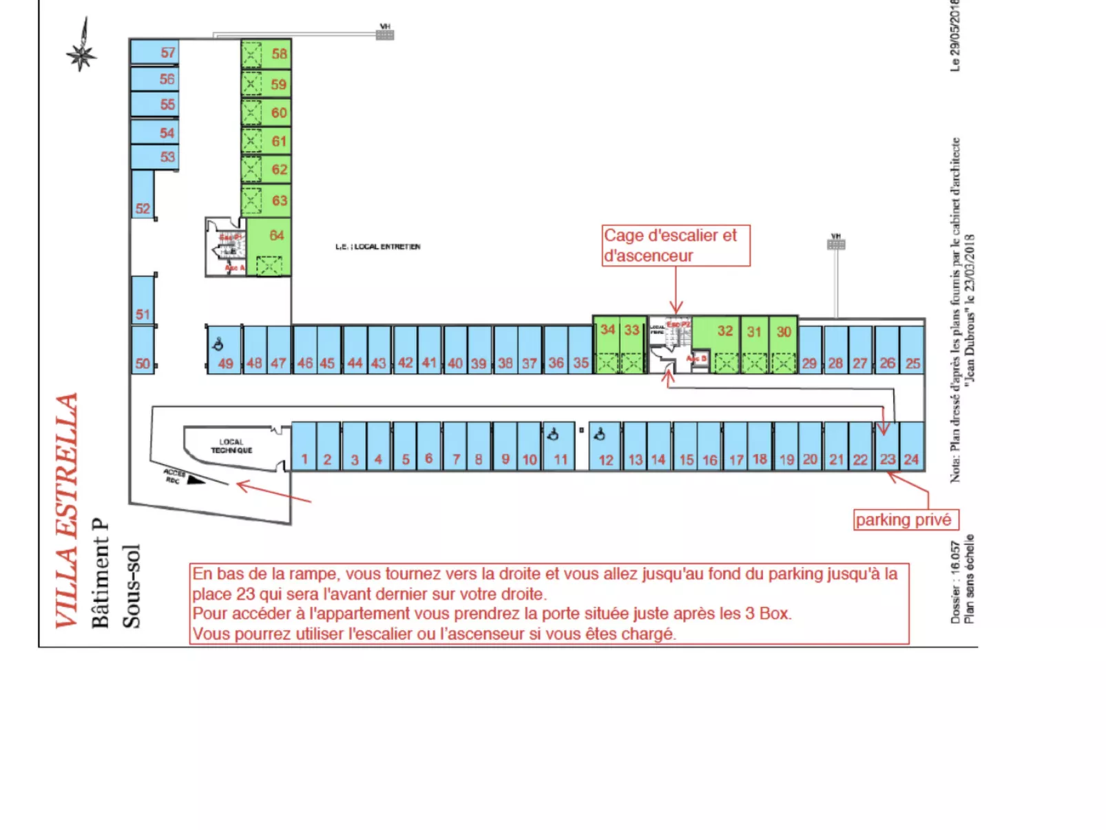 "Seepferdchen des Beckens"-Binnen