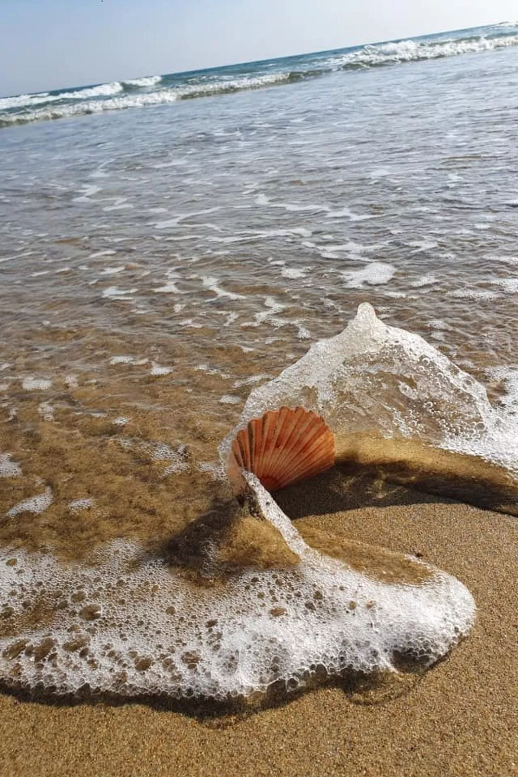 Mobilheim in idealer Lage in der Nähe aller Annehmlichkeiten-Buiten