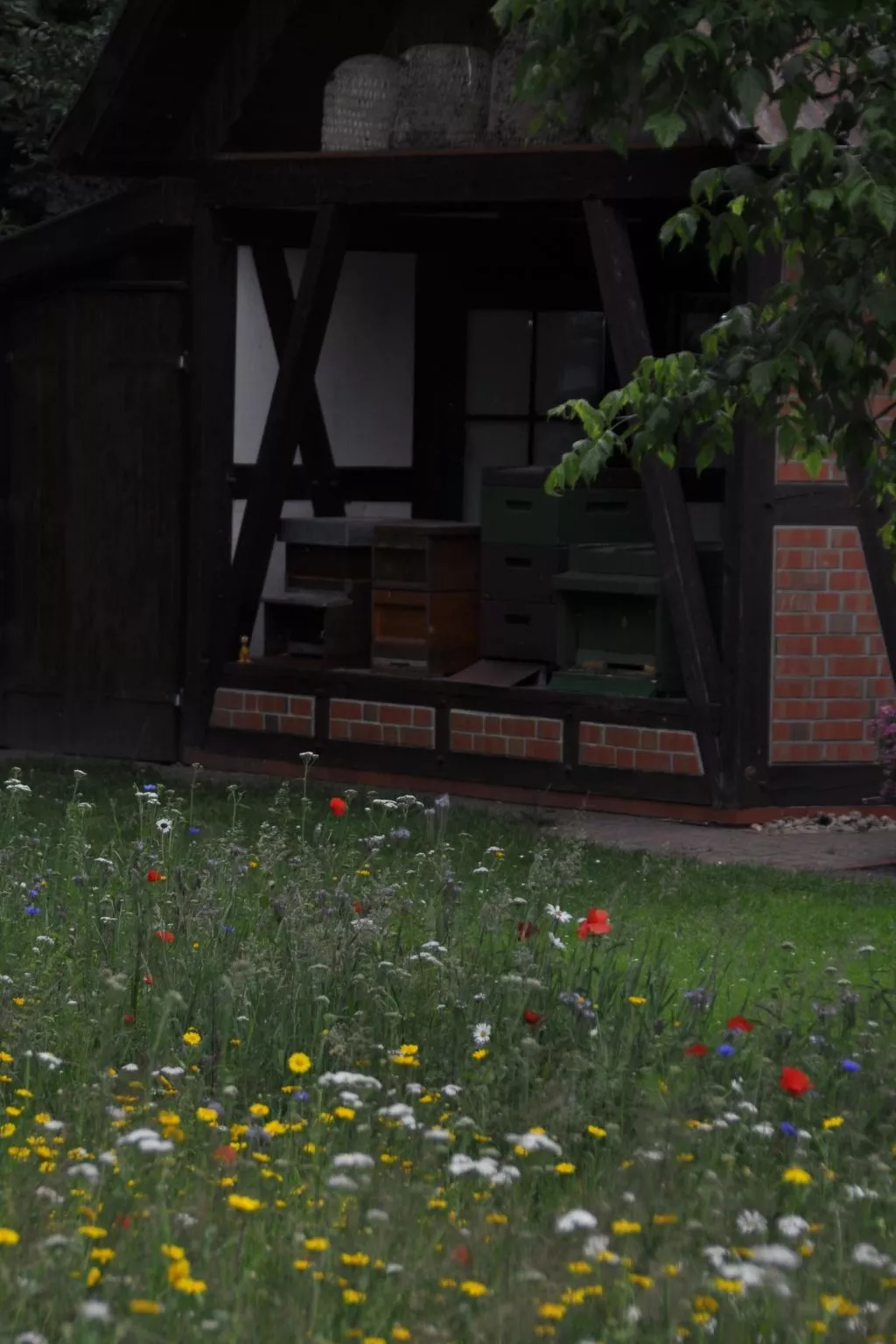 Rosalie - Ruhig - Zentral - Hochwertig-Image-tags.info