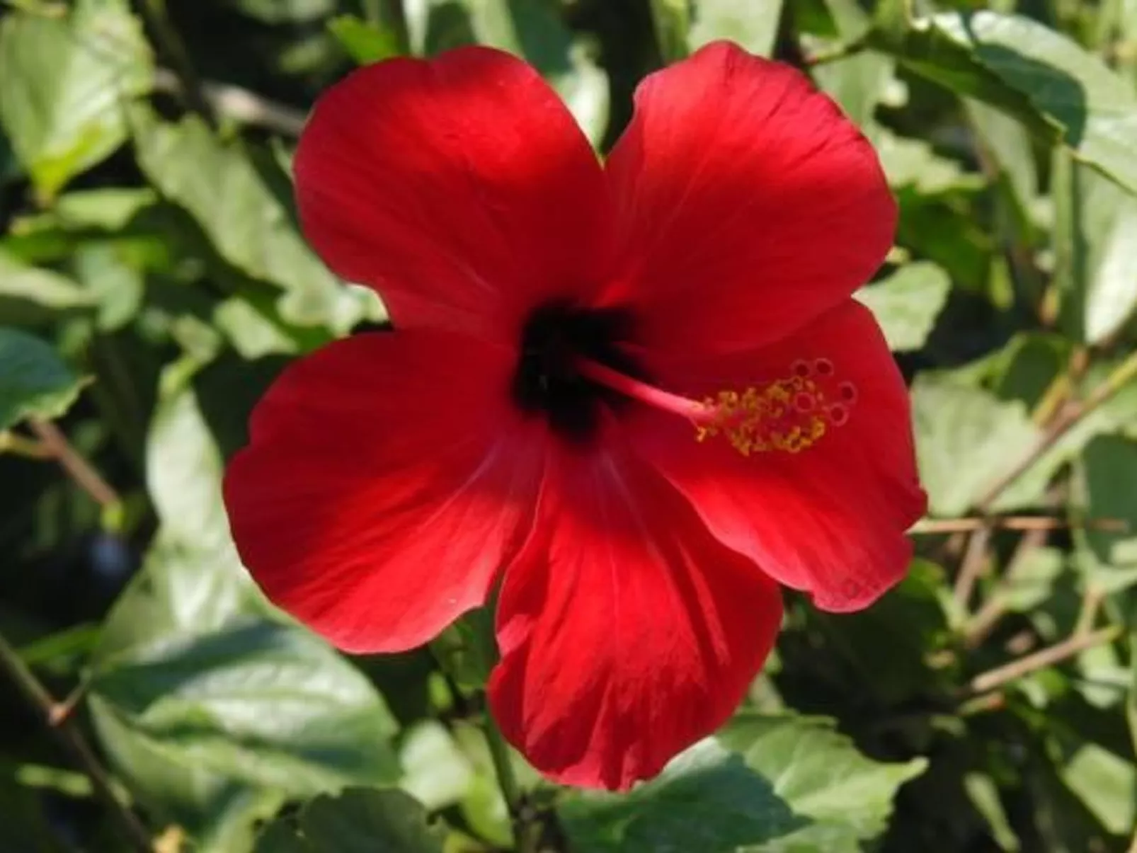 Castle View Haraki, ground floor ap4-Buiten