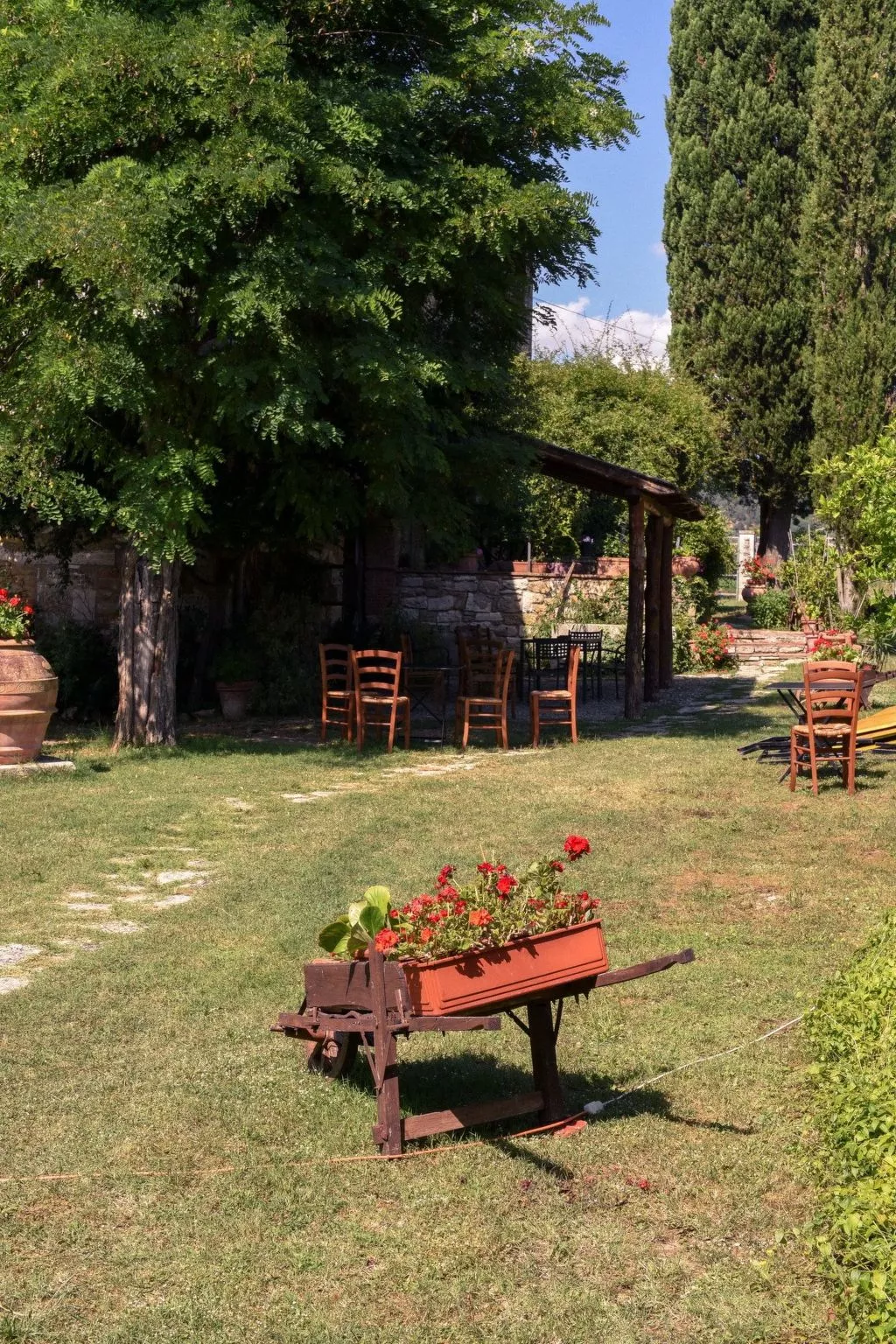 'Molinello albicocco'-Image-tags.info