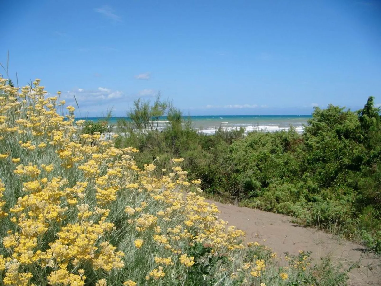 'Azalea' mit Terrasse-Buiten