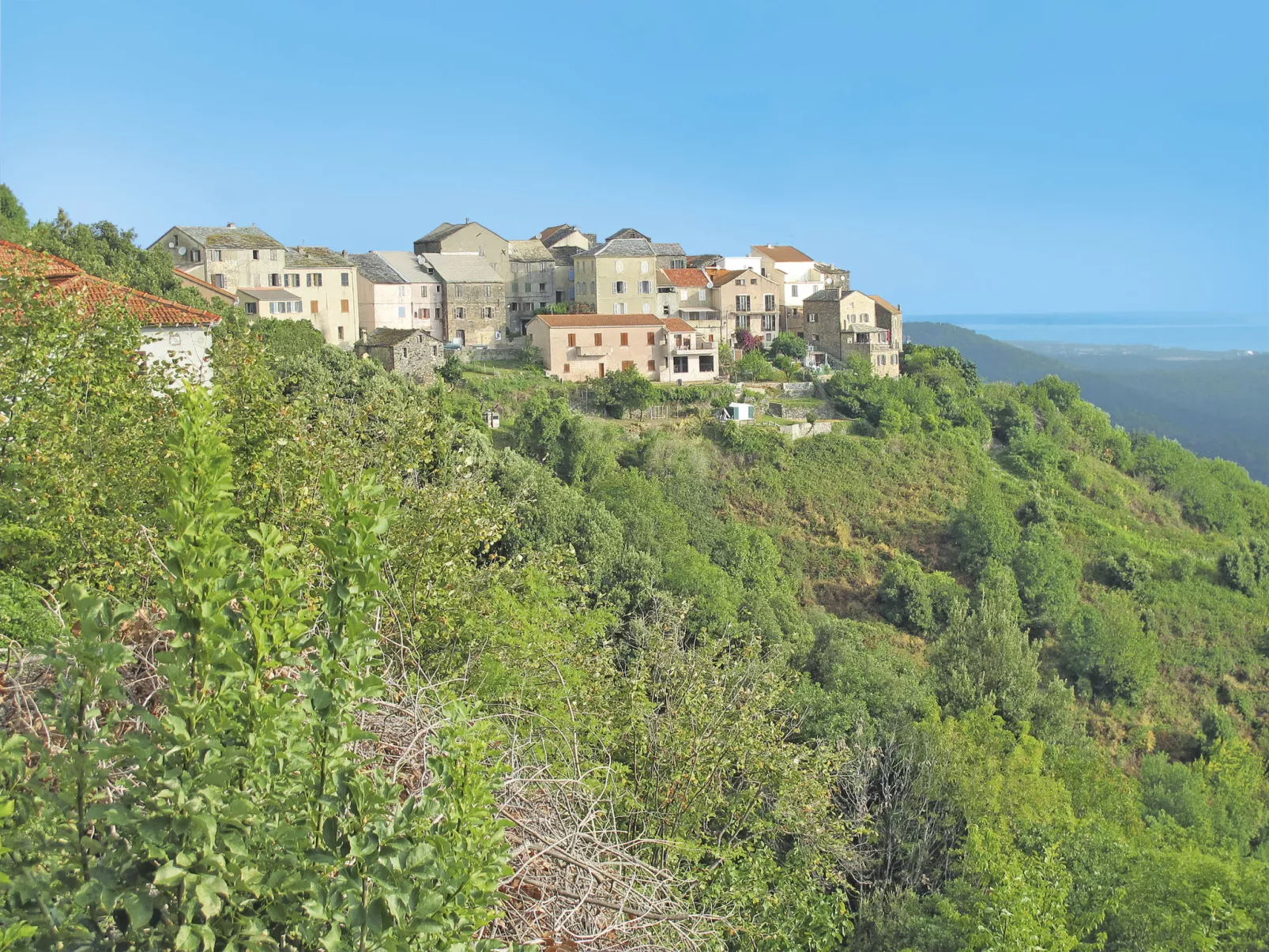 Villa Belle Vue, direkt am Meer, 1-2 Haustiere erlaubt-Omgeving