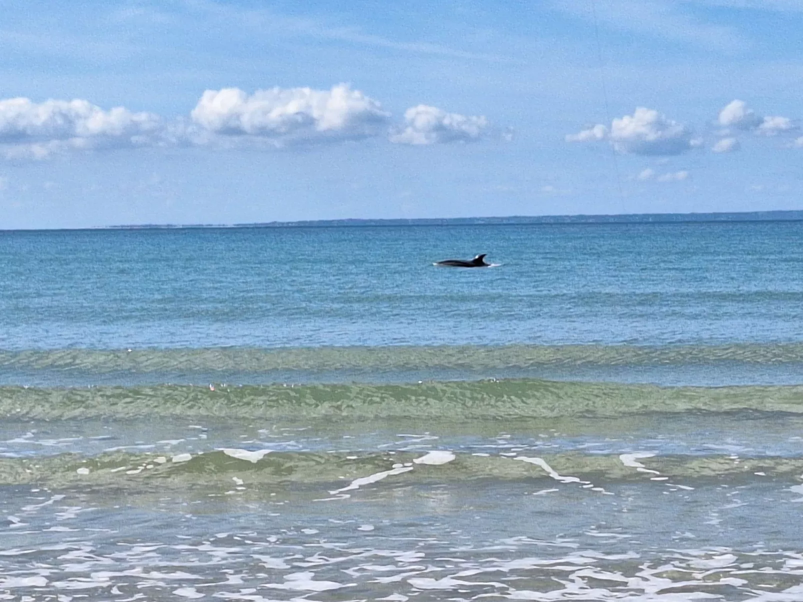 L'Escale dunes, Strände 20 Meter entfernt, Meerblick-Image-tags.info