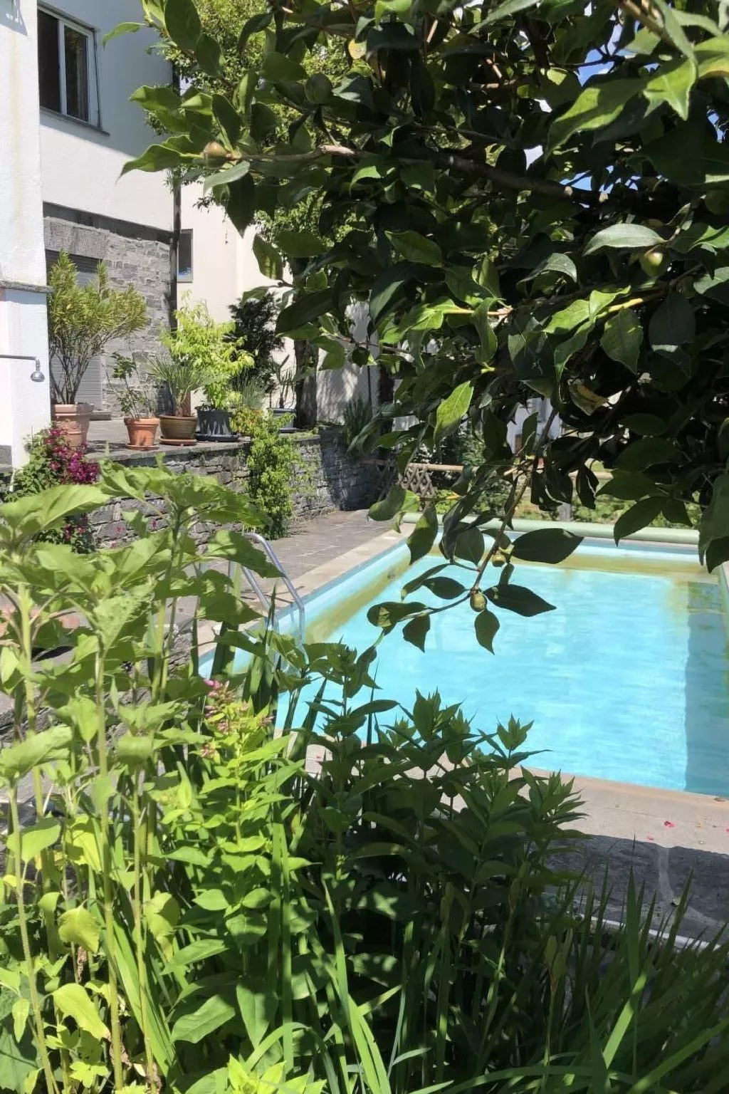 Casa Tintinnio-Buiten