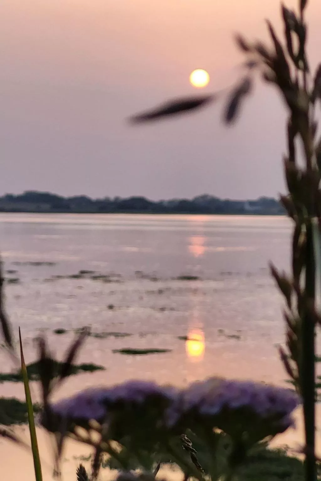 50 ml vom Meer entfernt. Plouneour Trez-Image-tags.info