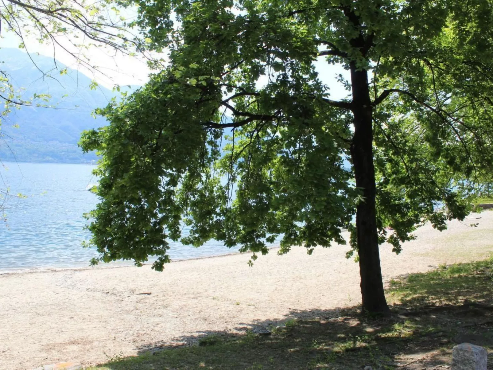 Wohnung mit blühender Terrasse, seenah-Buiten