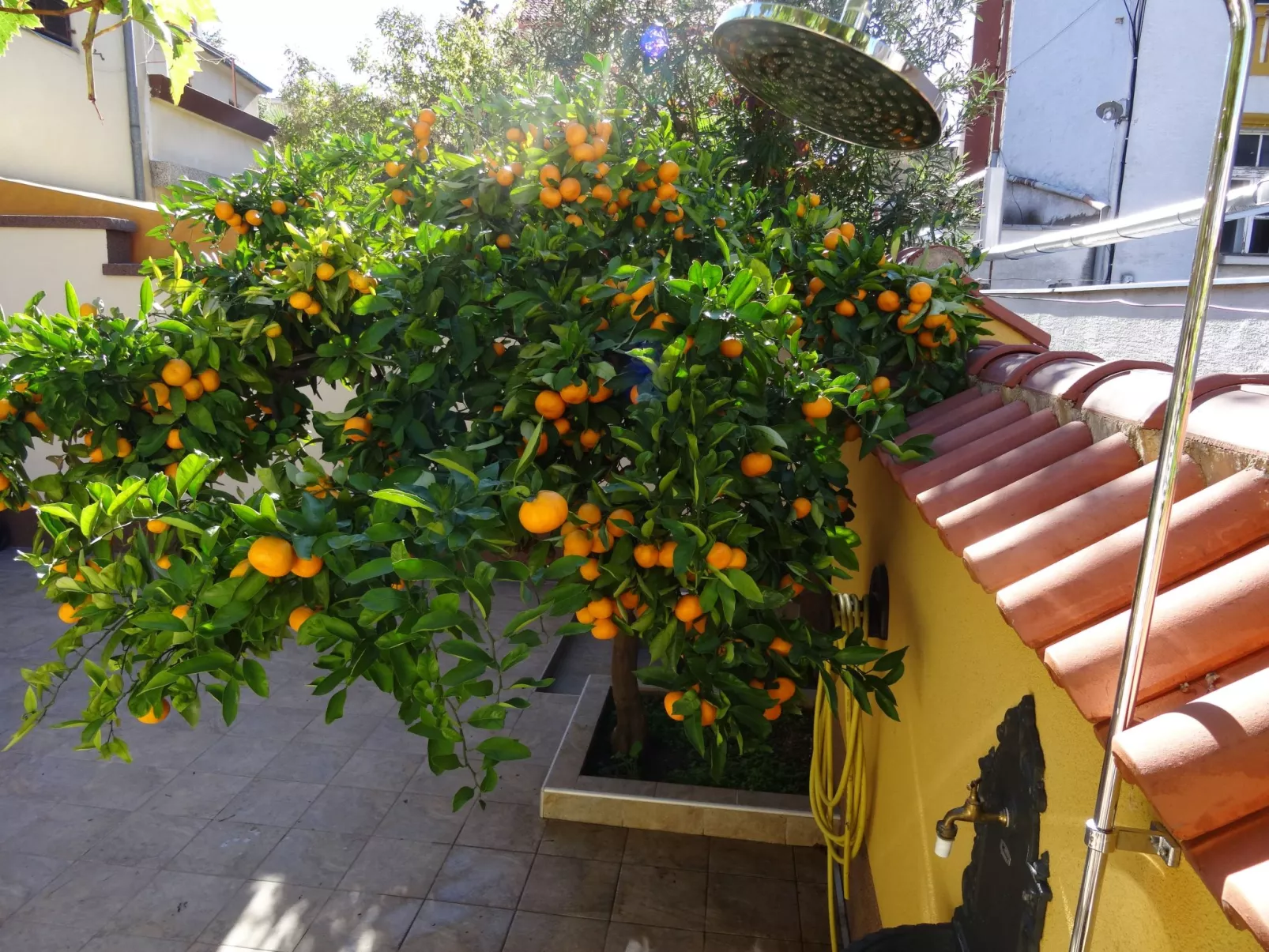 „Kleine Villa Tony“-Buiten