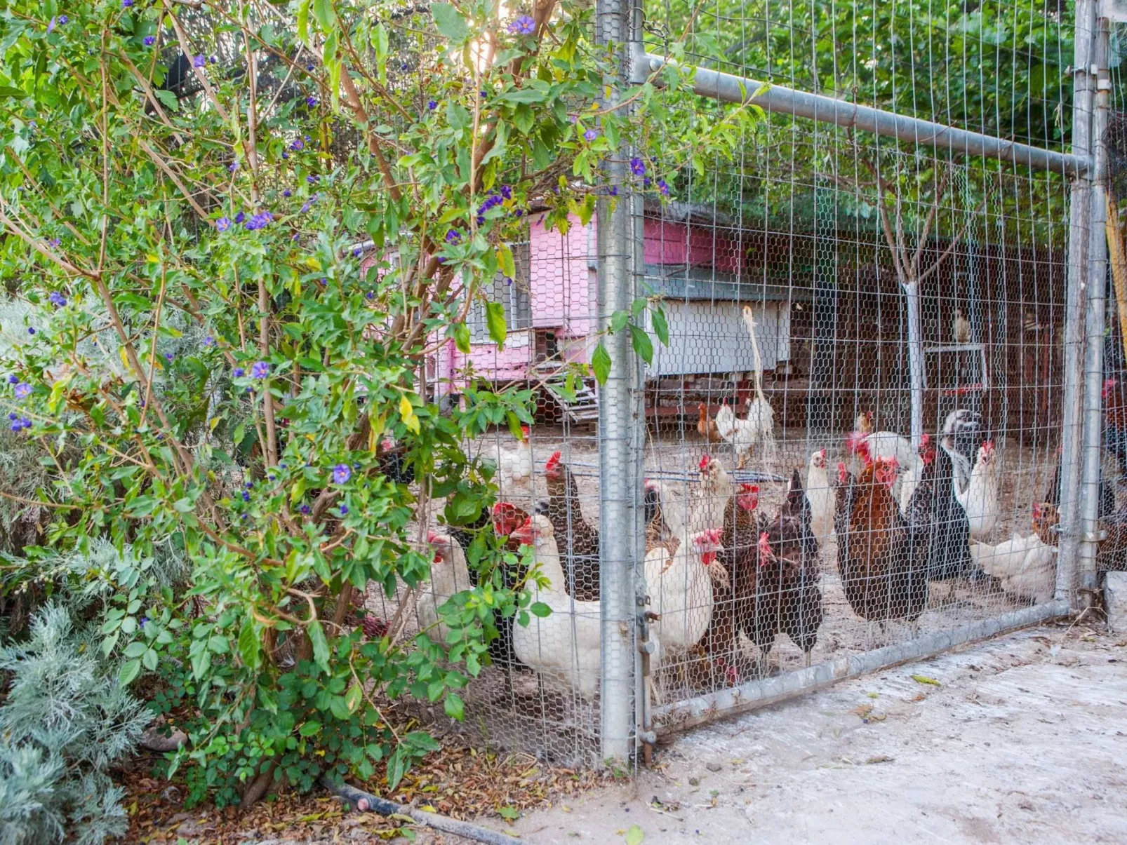 Hütte mit eigenem Garten und Grill-Buiten