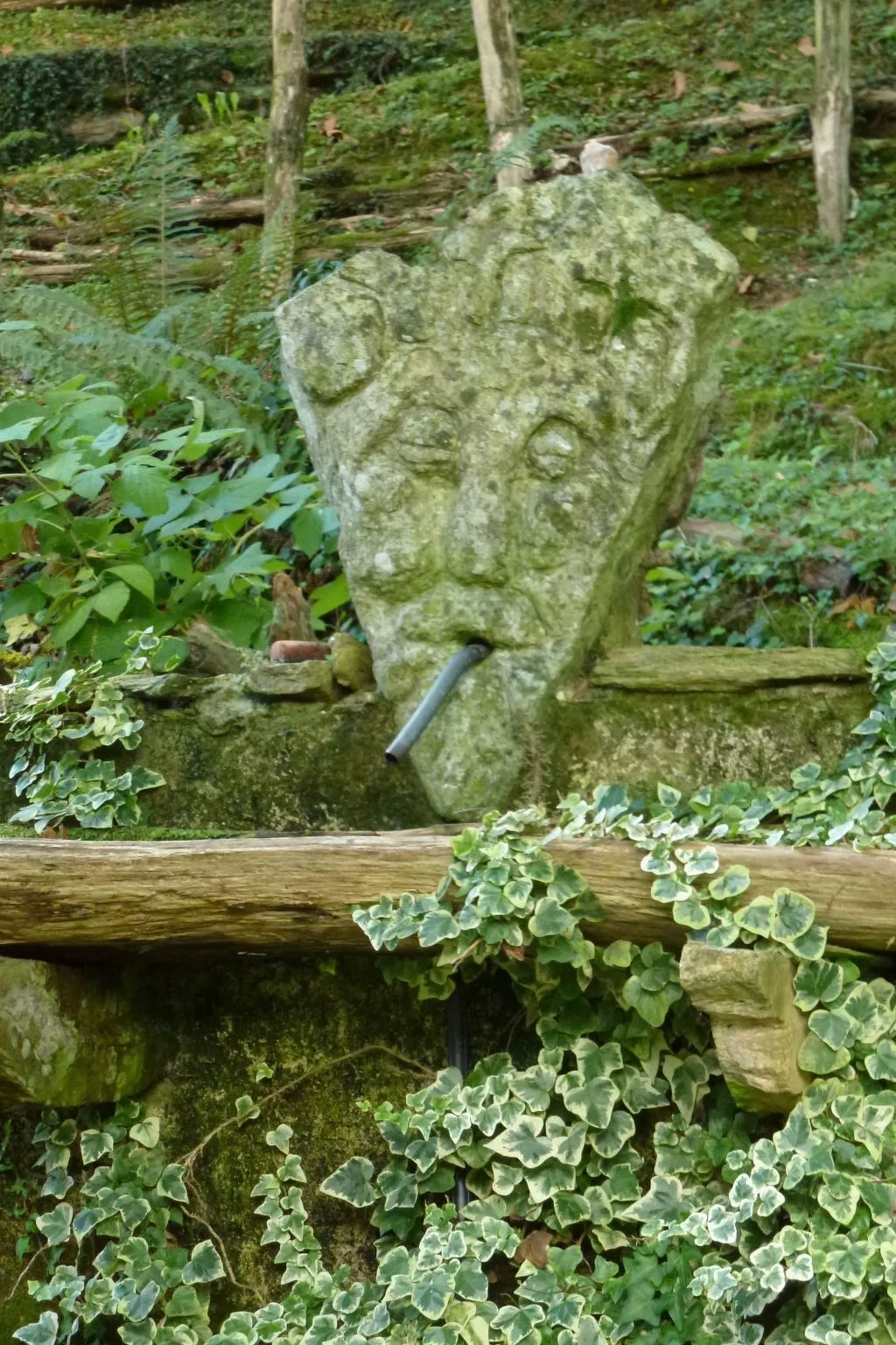 Mit Blick auf das Wasser-Buiten