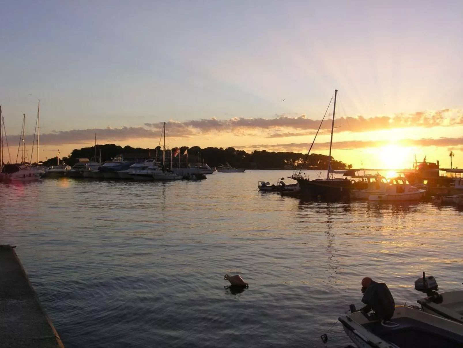 Melisa 7-Image-tags.info