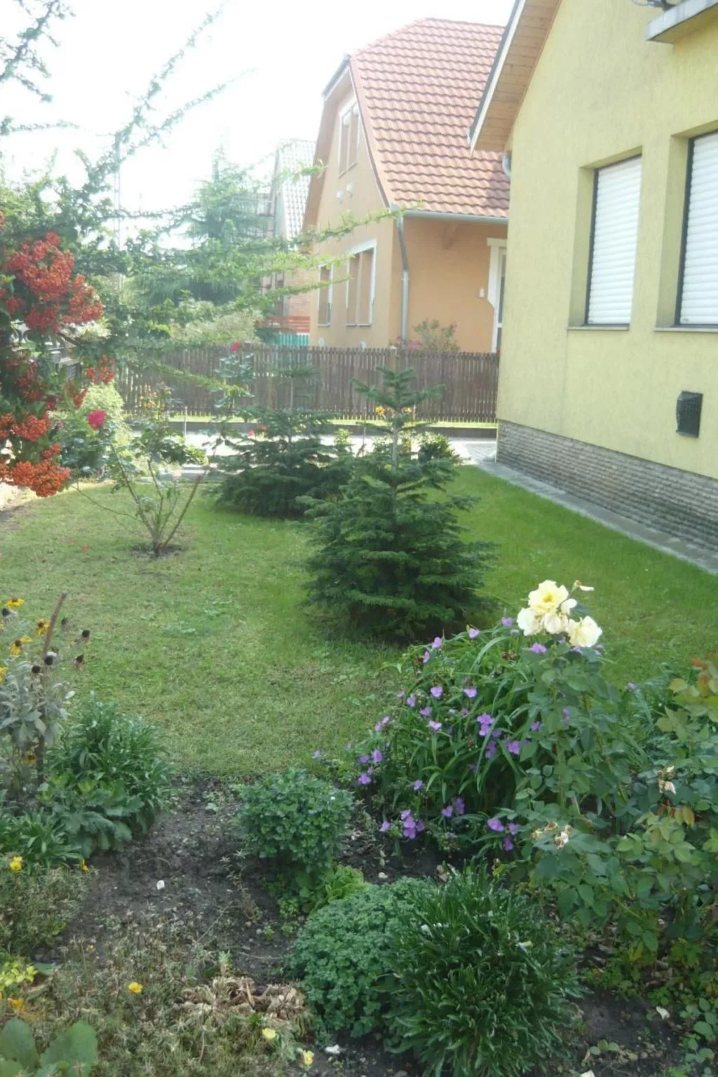 BO-42-Image-tags.info