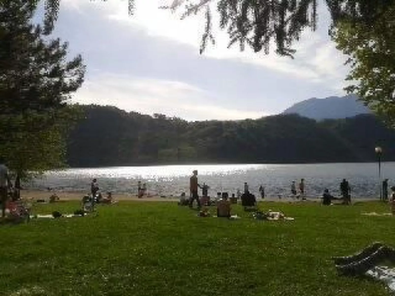 'Irma'-Image-tags.info