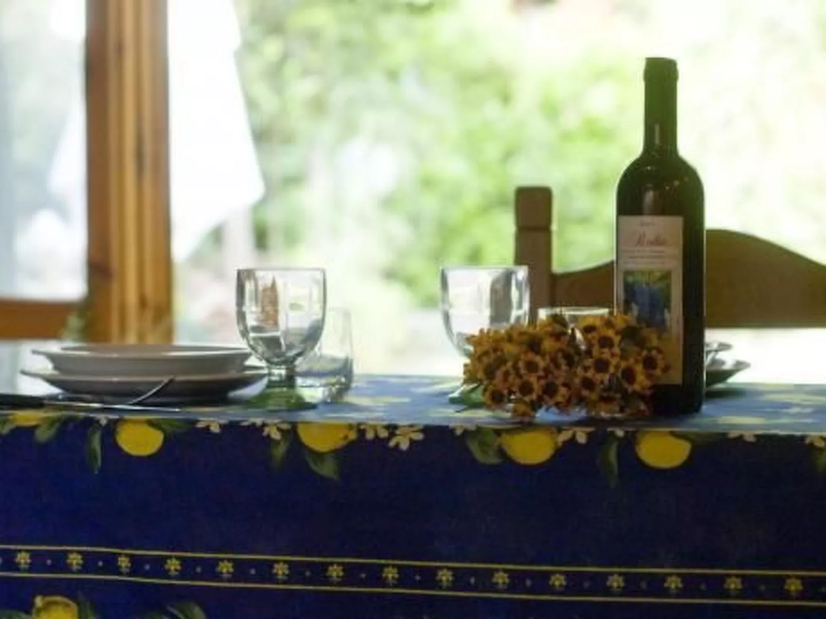 Wohnung in Palaia mit Großem Garten-Binnen