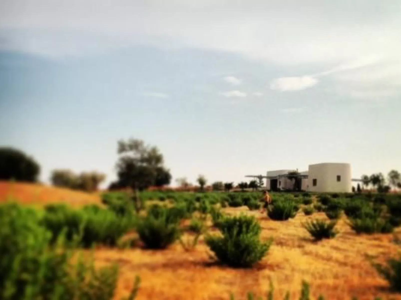 Villa Vendicari Junior-Image-tags.info