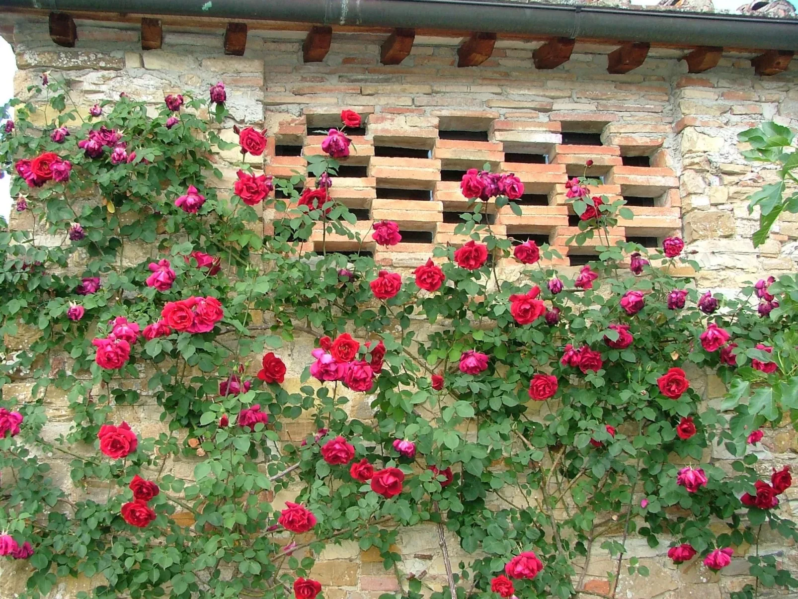 Wohnung mit Garten in Barberino Tavarnelle-Buiten