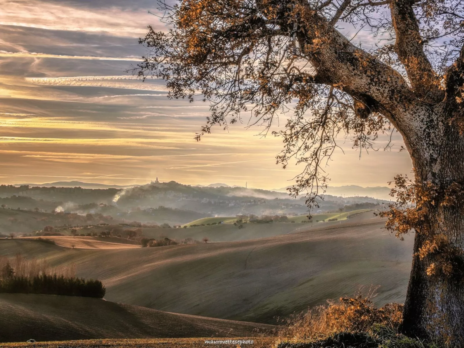 'Casa il Girasole'-Buiten