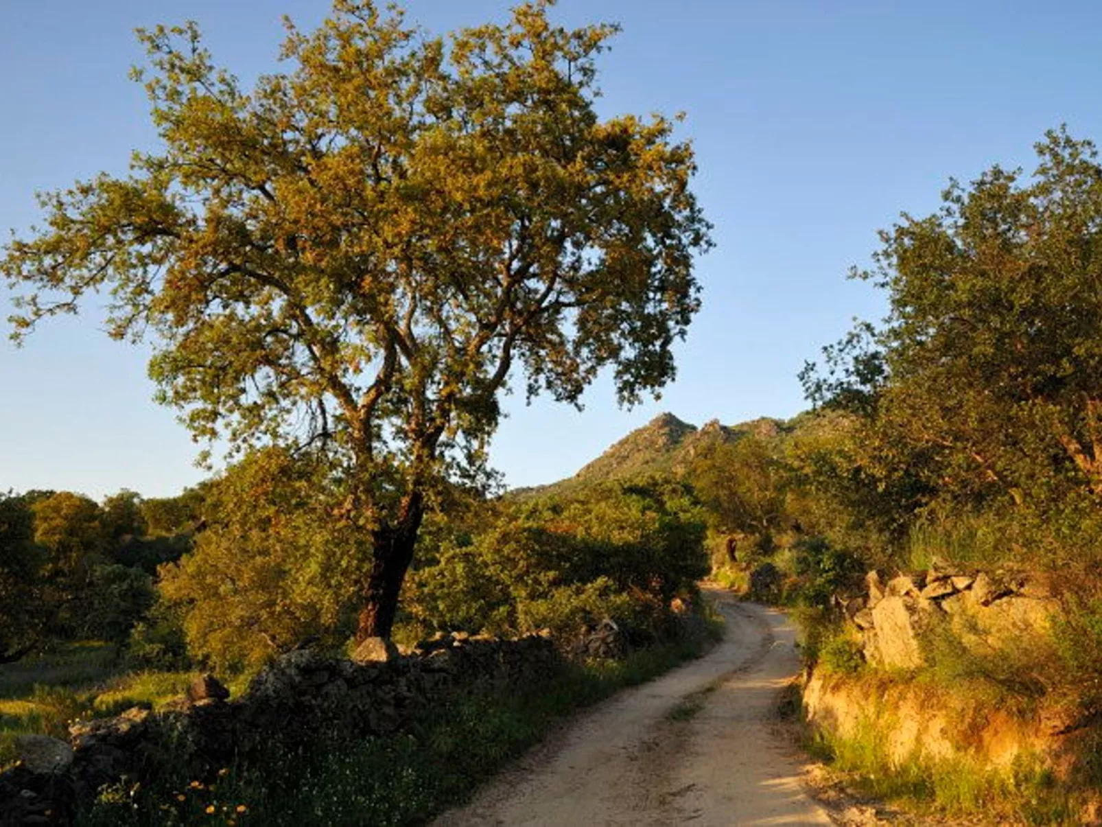 Das Cortijo auf der Finca al-manzil-Image-tags.info