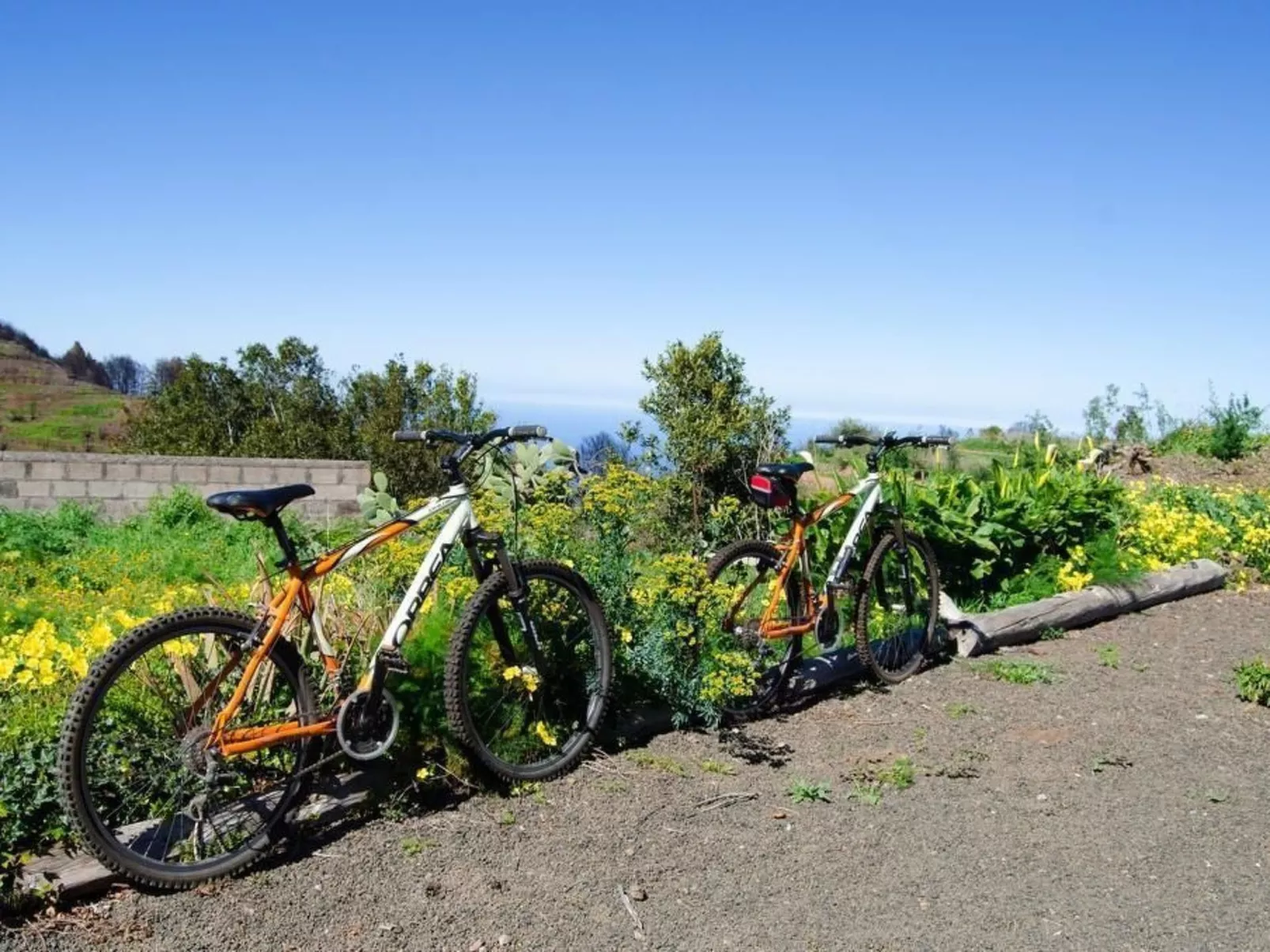 Ländliches Haus Monte del Agua-Buiten