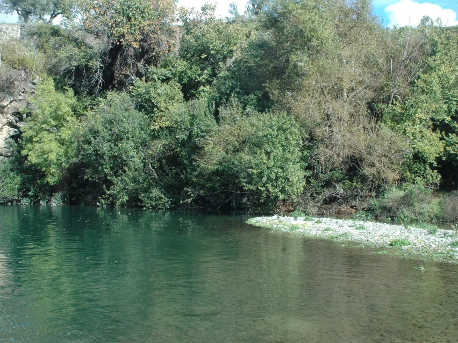 Alcantara Home Ansicht-Image-tags.info