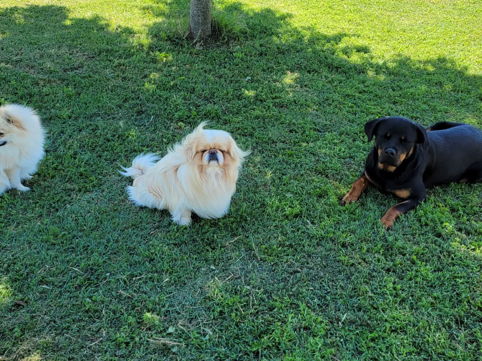 Wohnung 'Villa Jolanda Bed and Breakfast-Buiten