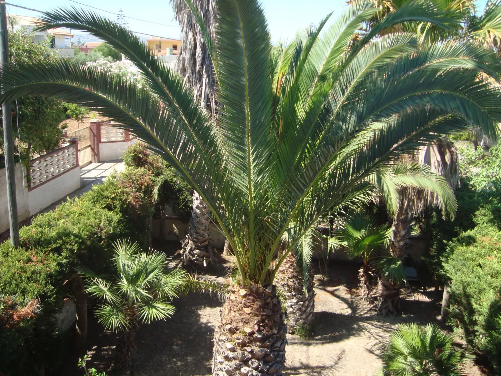 Villa Degli Angeli mit Blick auf das Meer-Buiten