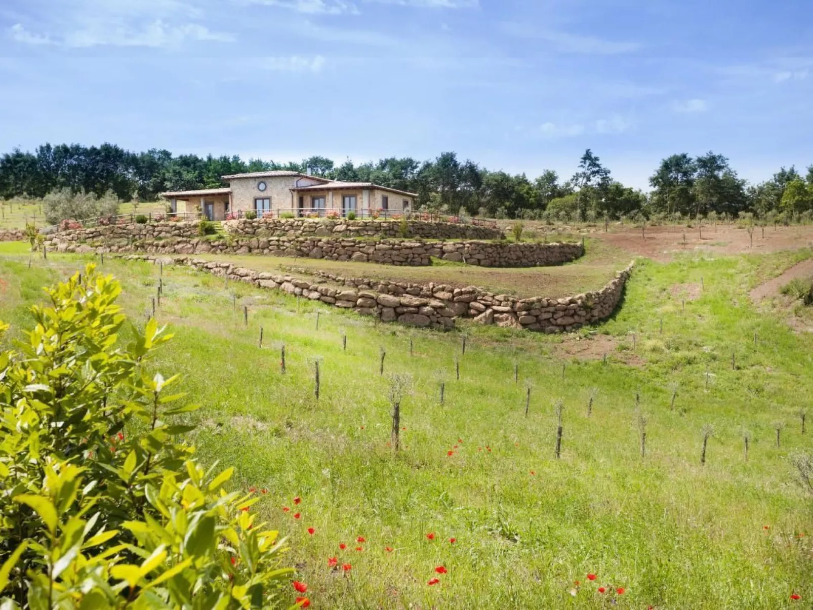 Freistehendes Haus mit privatem Pool-Buiten