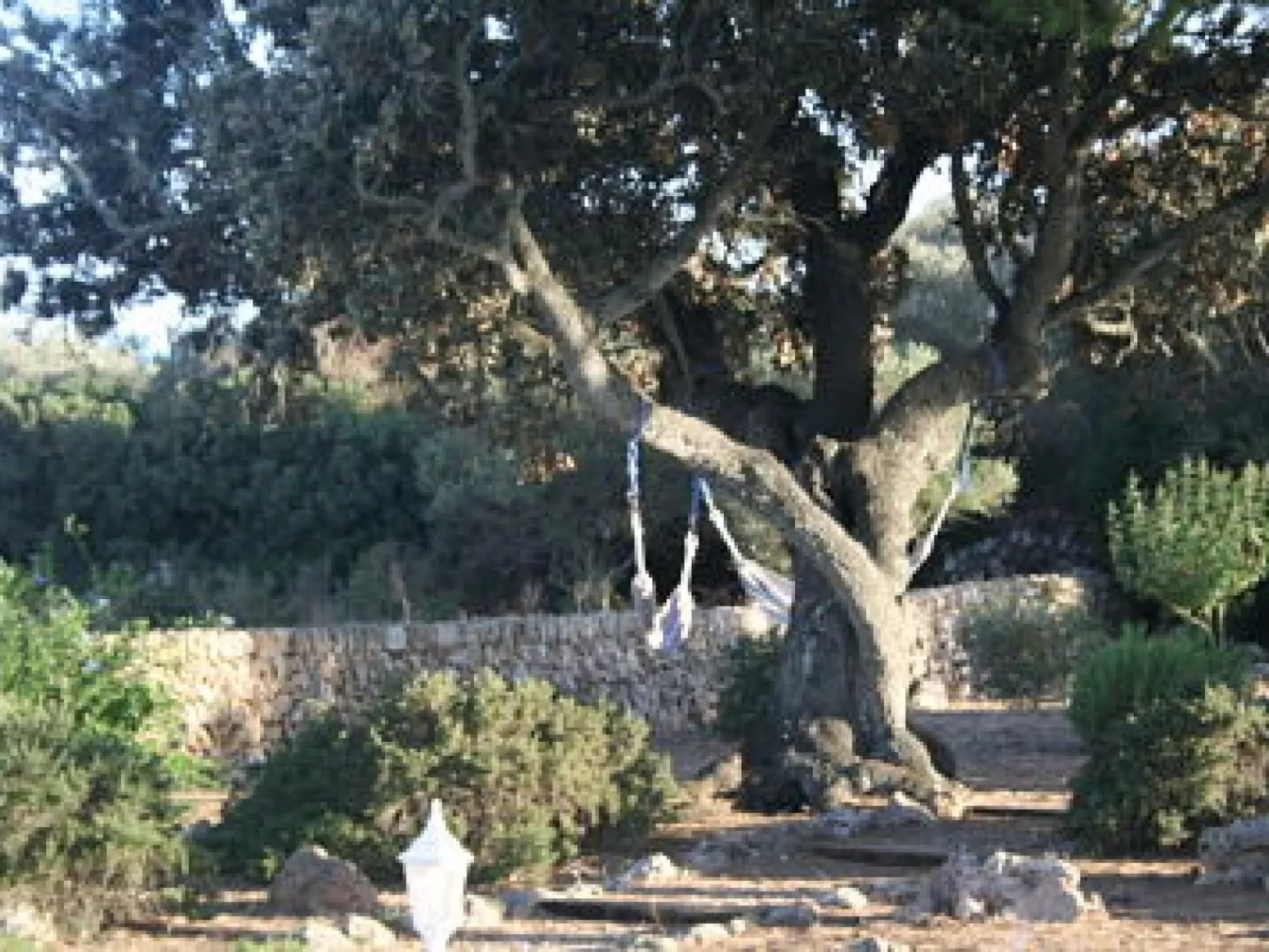 Gemütliches Ferienhaus in Alaior mit Privatem Pool-Buiten