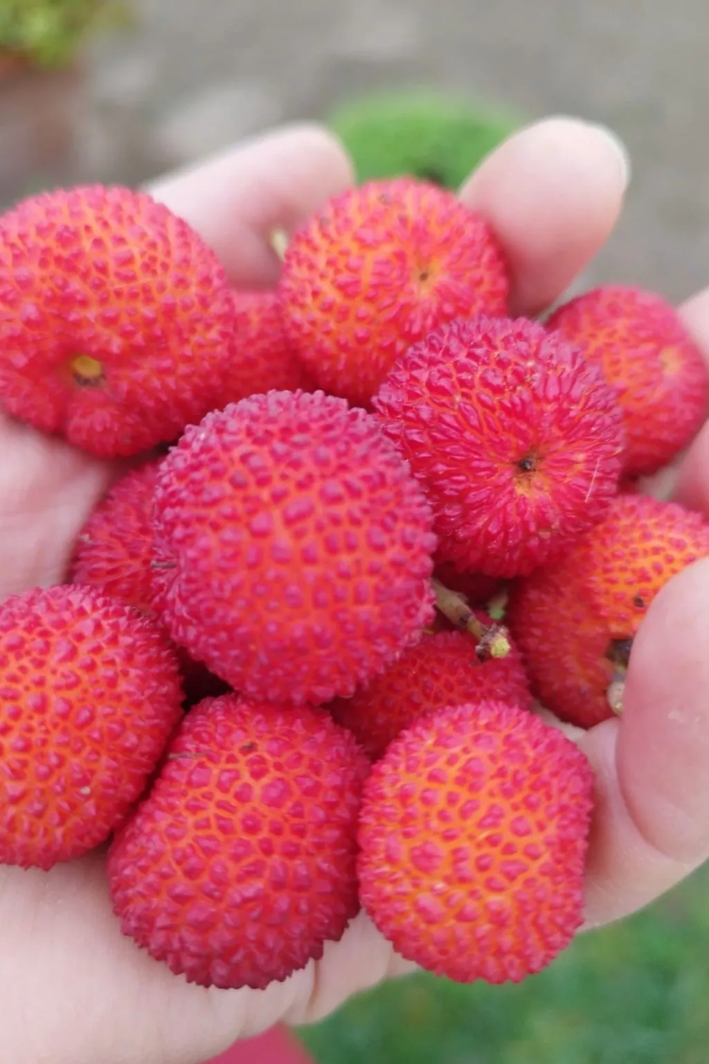 Entspannung, Meer, Natur, Kultur-Image-tags.info