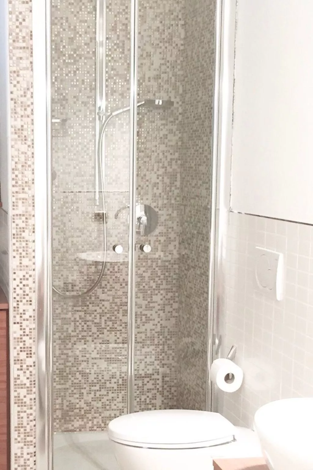 Penthouse mit Garten und privater Terrasse in Villa-Binnen