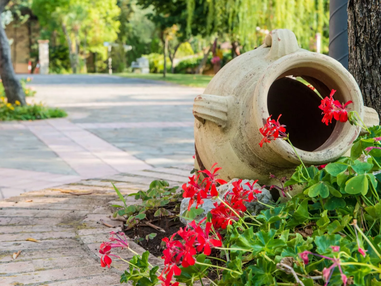 Drei-Zimmer-Wohnung für 4 Personen-Buiten