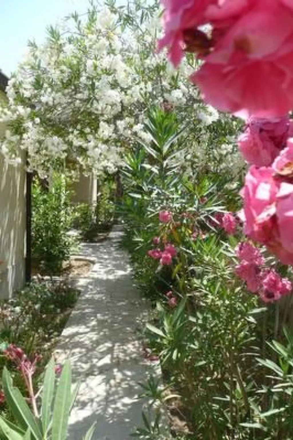 Schöner zentraler Bungalow direkt am Sandstrand auf Sizilien-Buiten