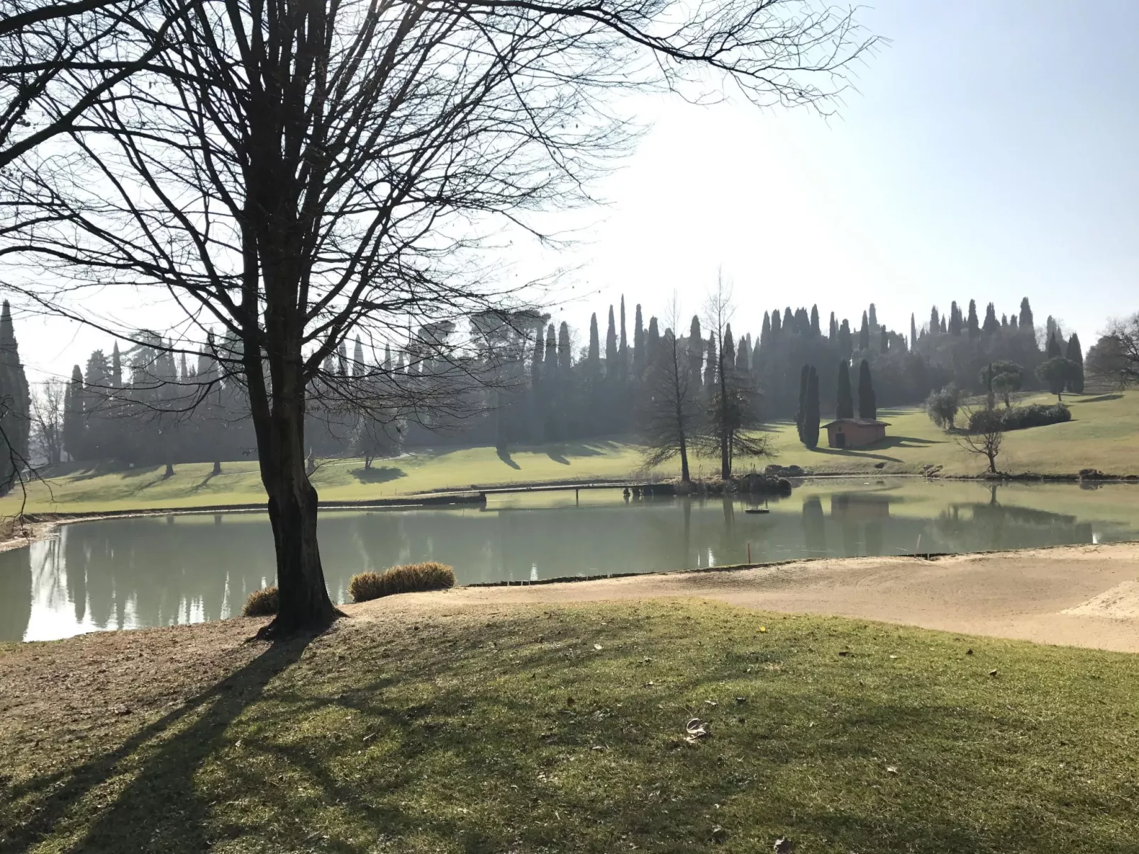 Vista Piazza-Image-tags.info