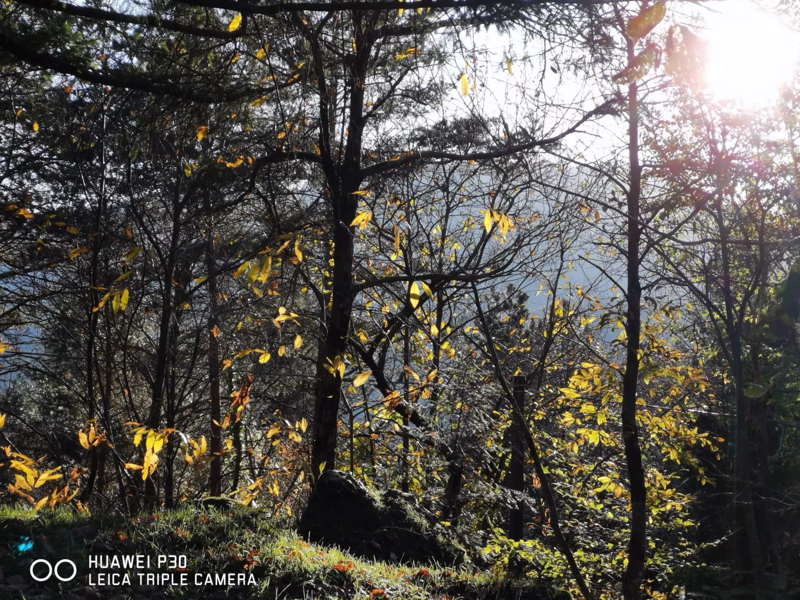 Chalet 'Perle des Höhenweges'-Image-tags.info