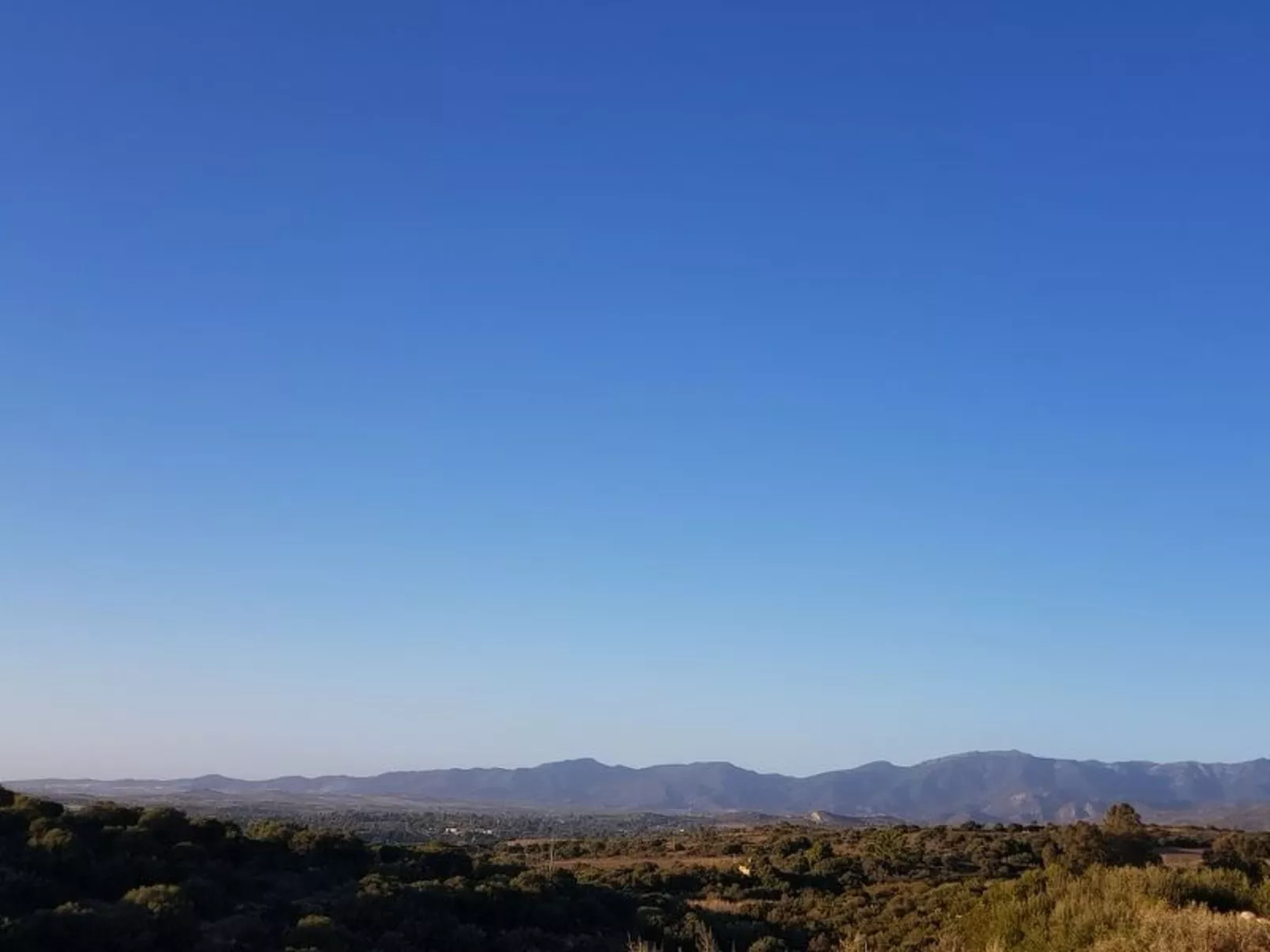 Su Niu Crobu unten-Image-tags.info