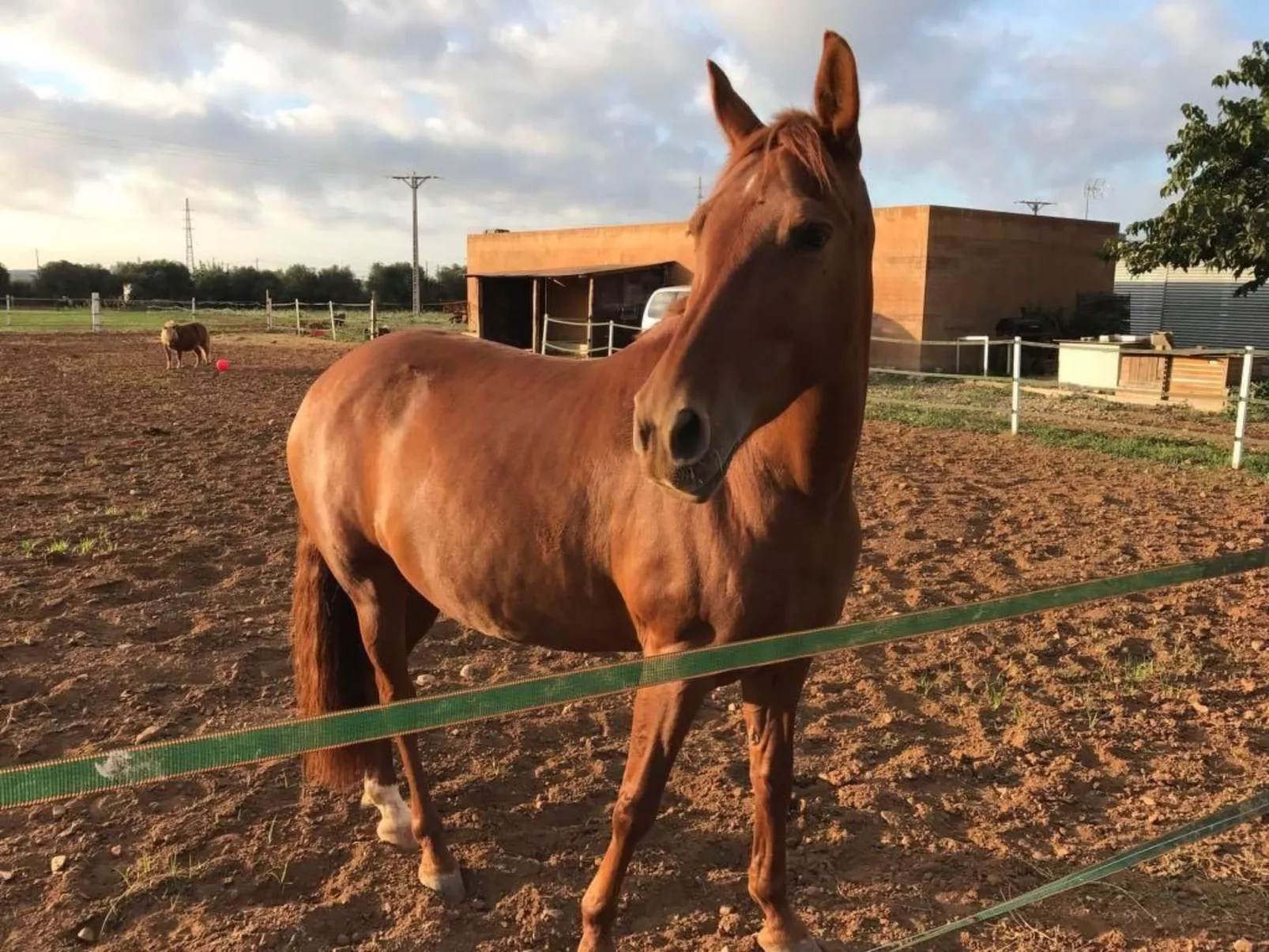 Design Vila mit Pool-Buiten