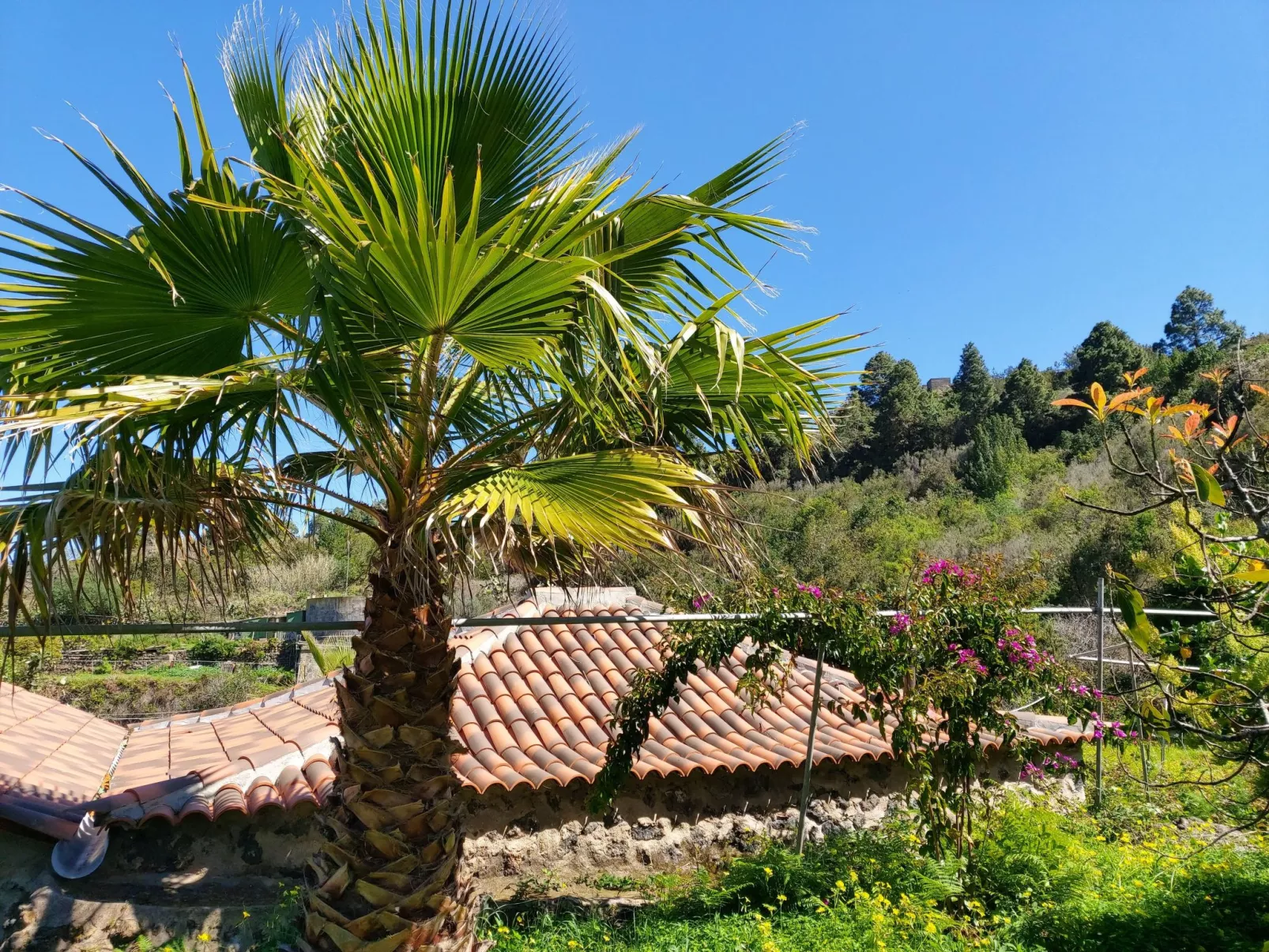 FW Cueva del Viento - Buiten
