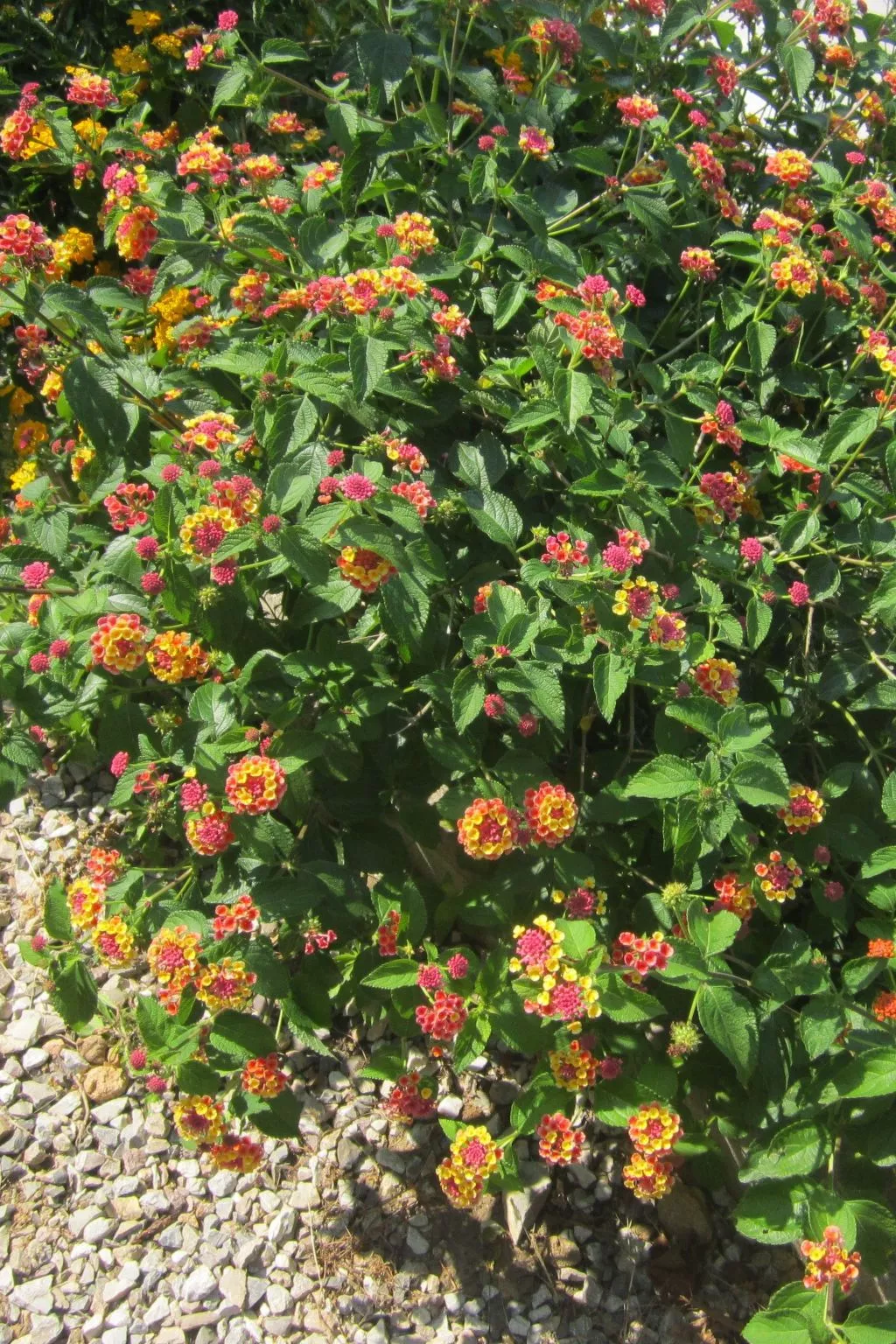 Wohnung mit Wasserblick-Image-tags.info