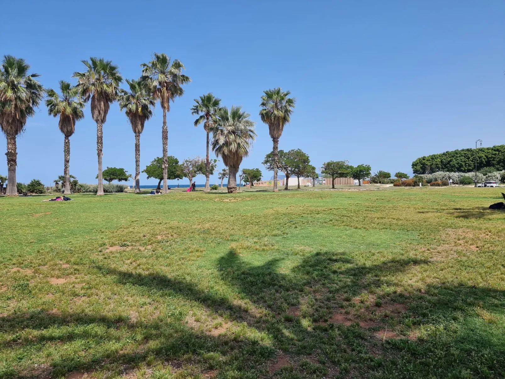 MaXelA Penthouse Grey-Image-tags.info