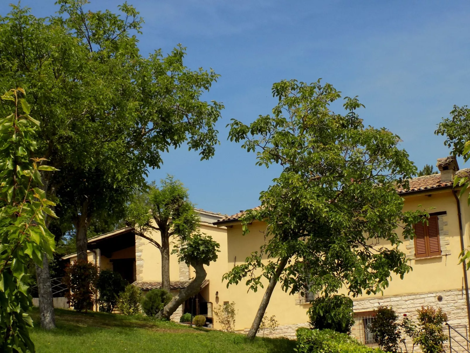 Rose in Cagli-Buiten