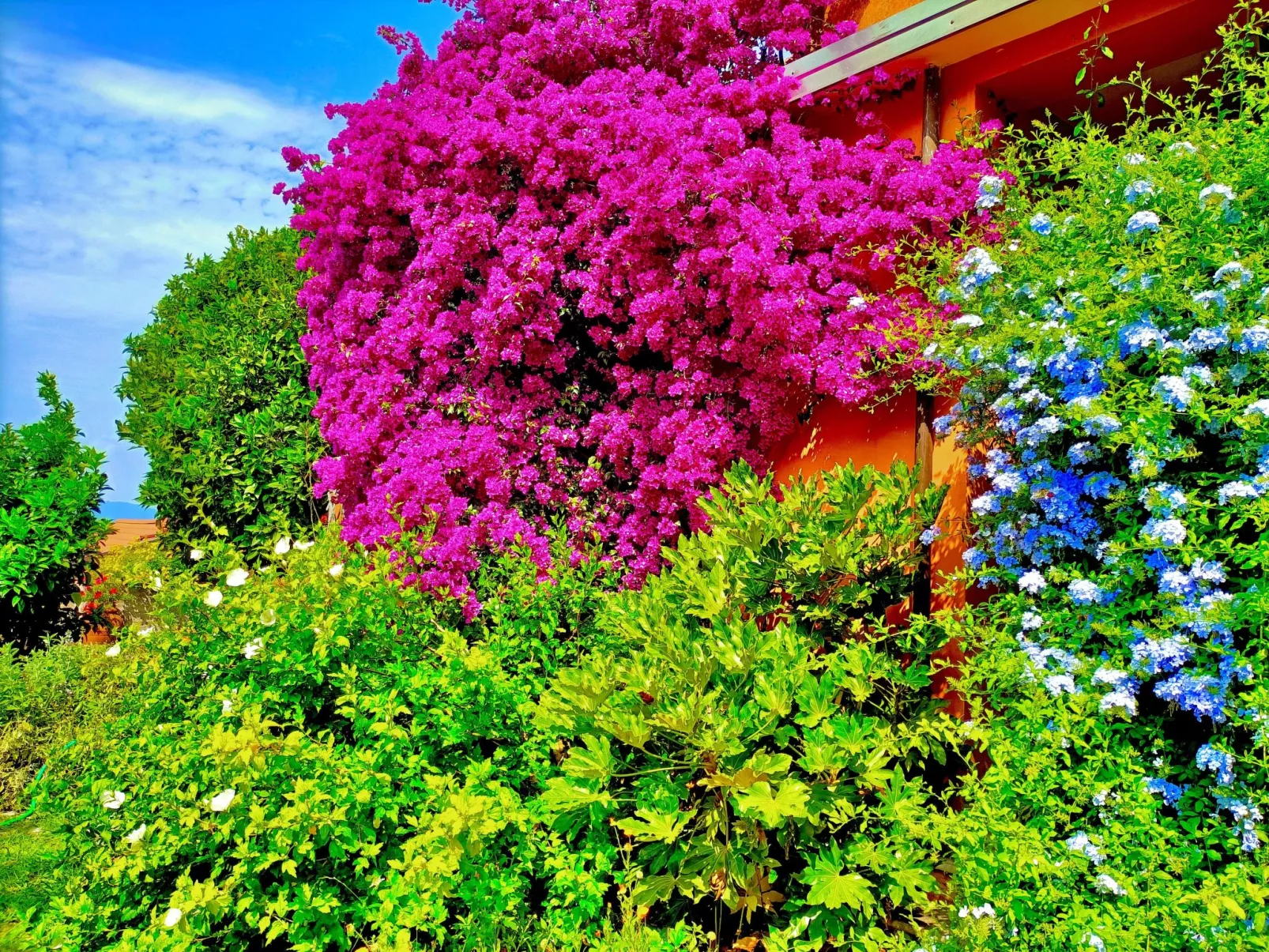 Mit Wasserblick-Image-tags.info