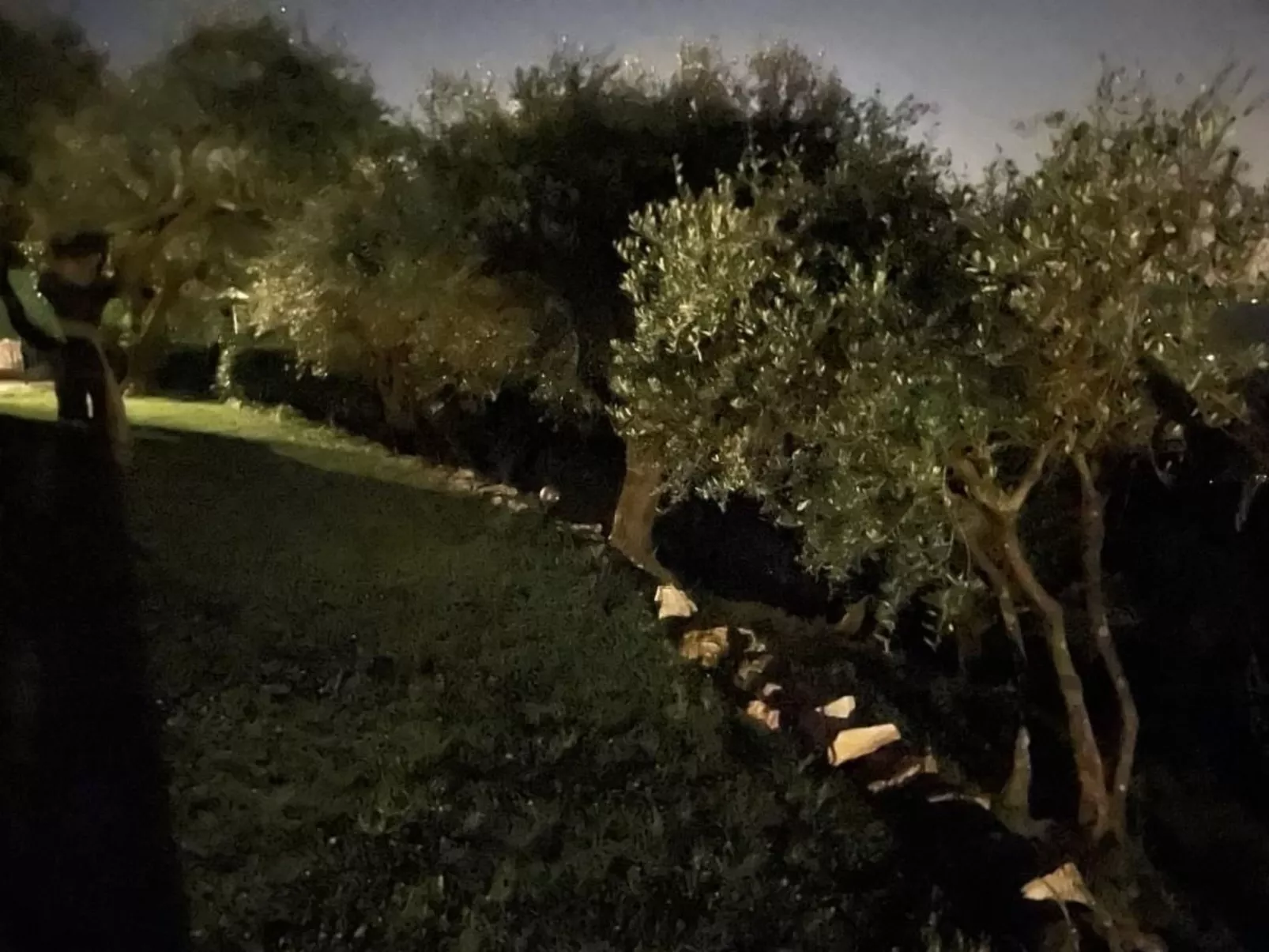 'Villa Lorien' mit Wasserblick-Buiten