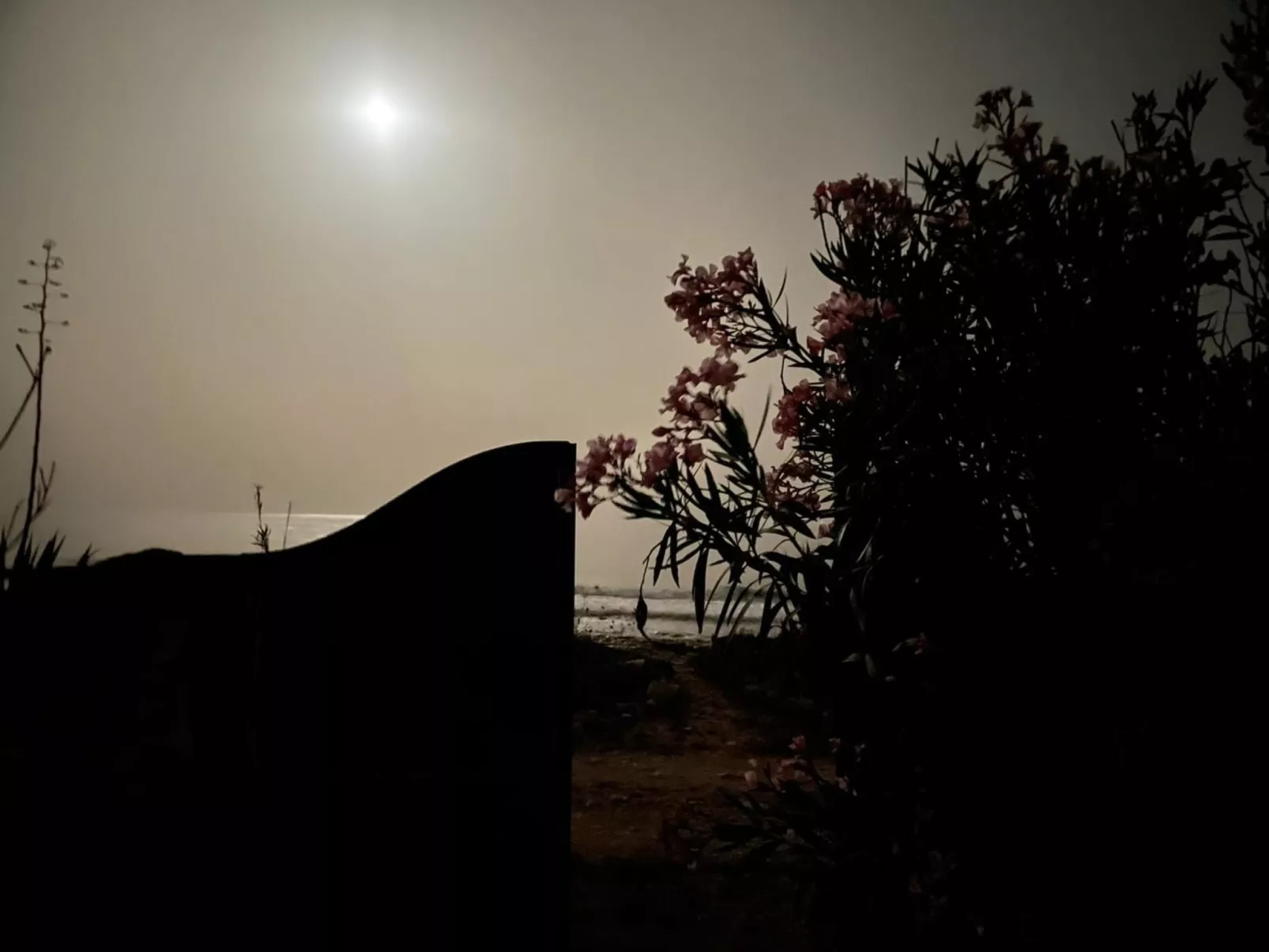 Kleines ruhiges Ferienhaus direkt am Meer-Buiten