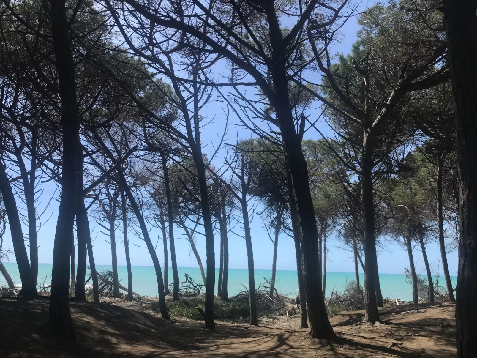 Podere Lo Zolfo-Buiten