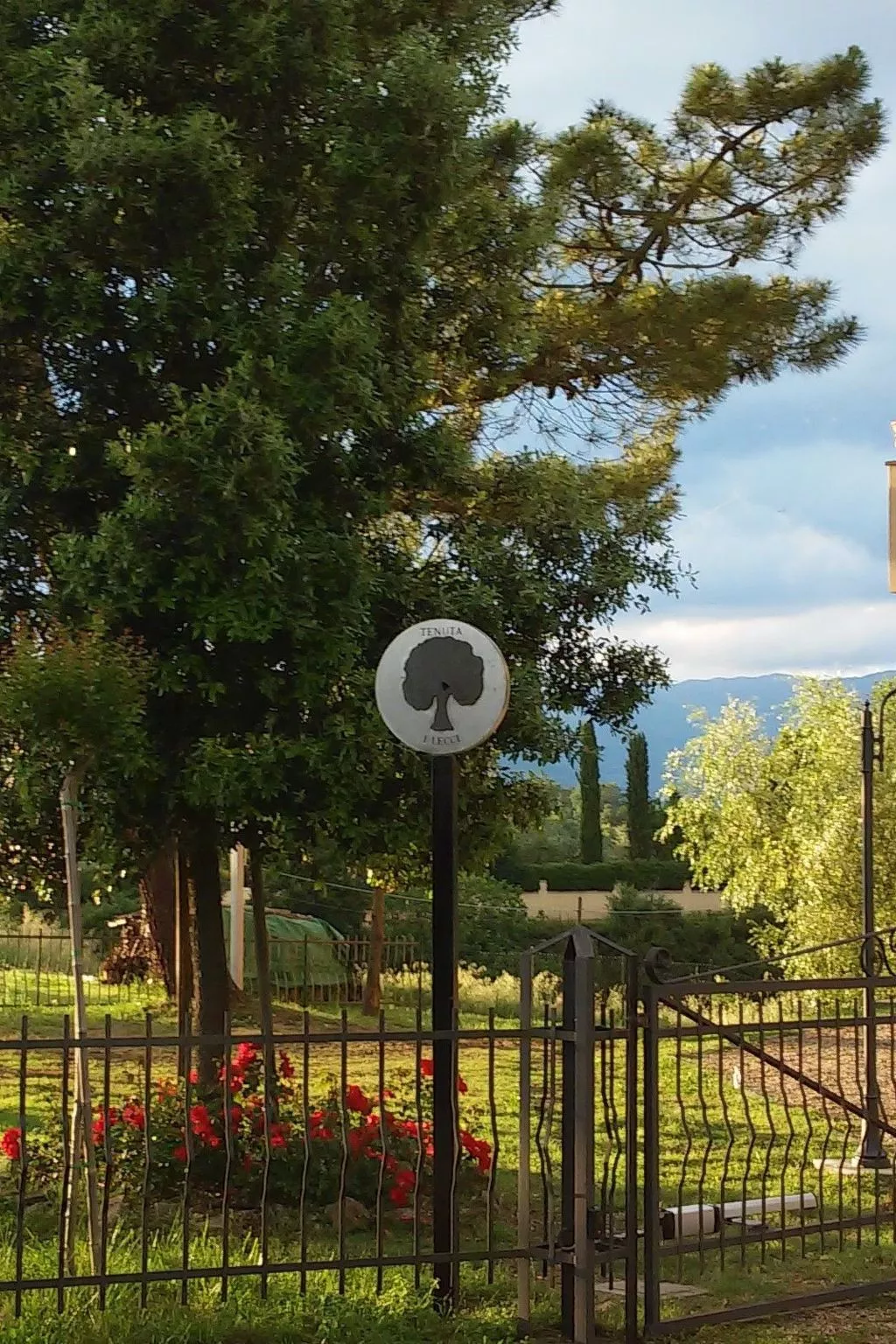 Sonnenblume Wohnung-Image-tags.info